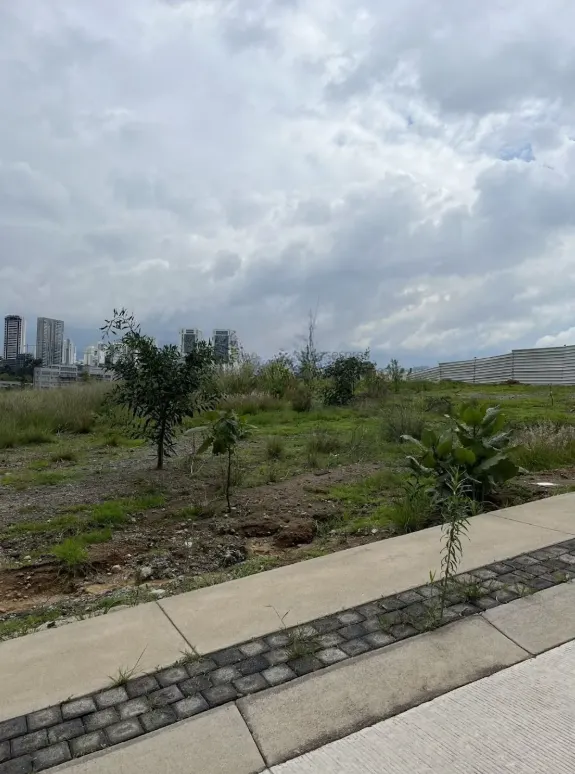 Terreno Spot2