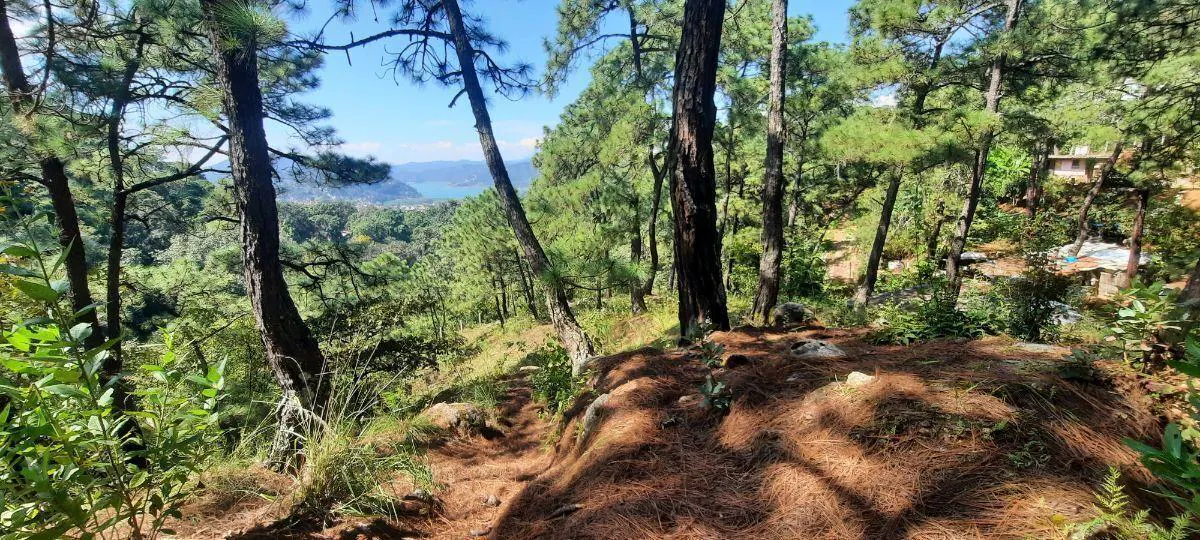Terreno Spot2