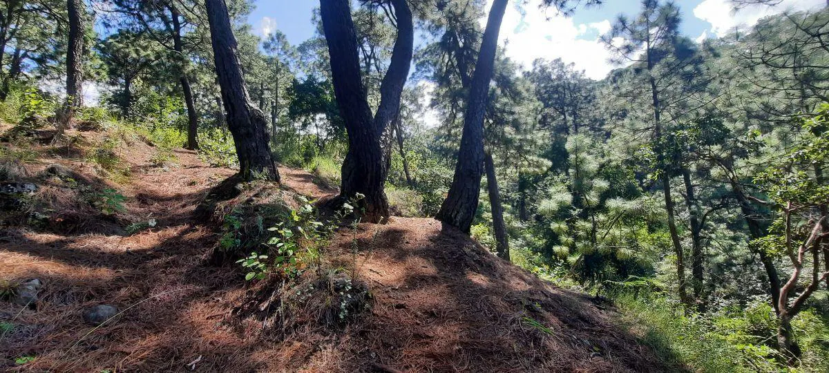 Terreno Spot2