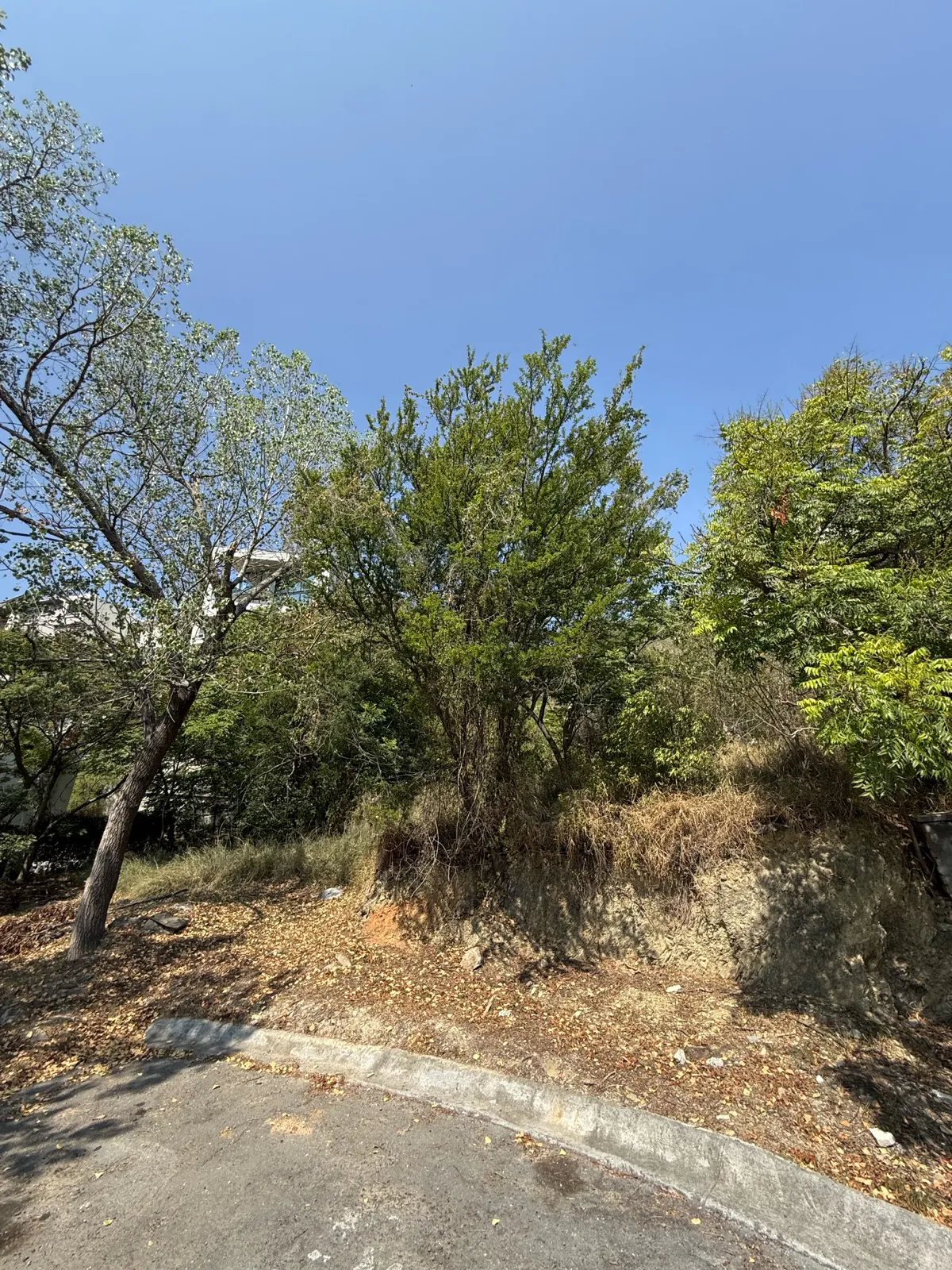 Terreno Spot2