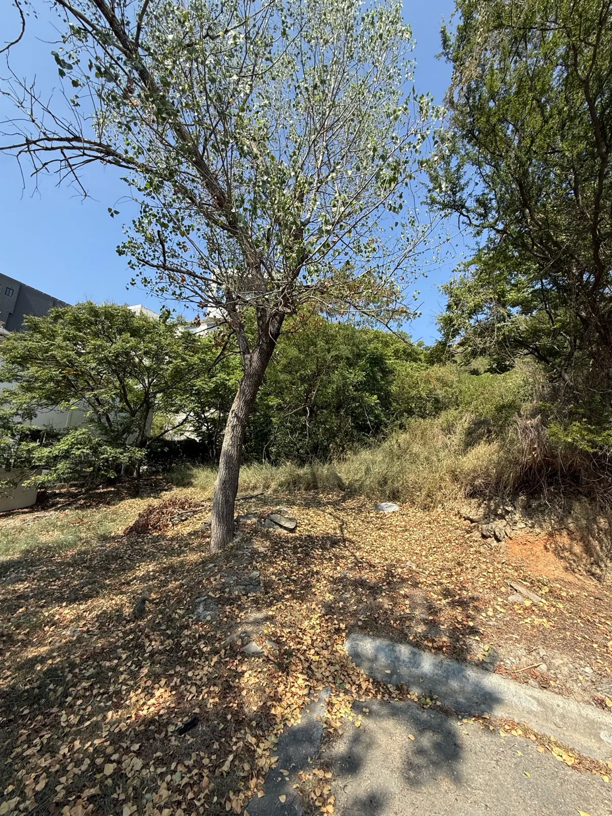 Terreno Spot2