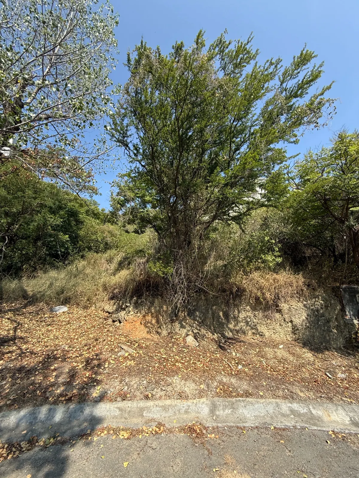 Terreno Spot2