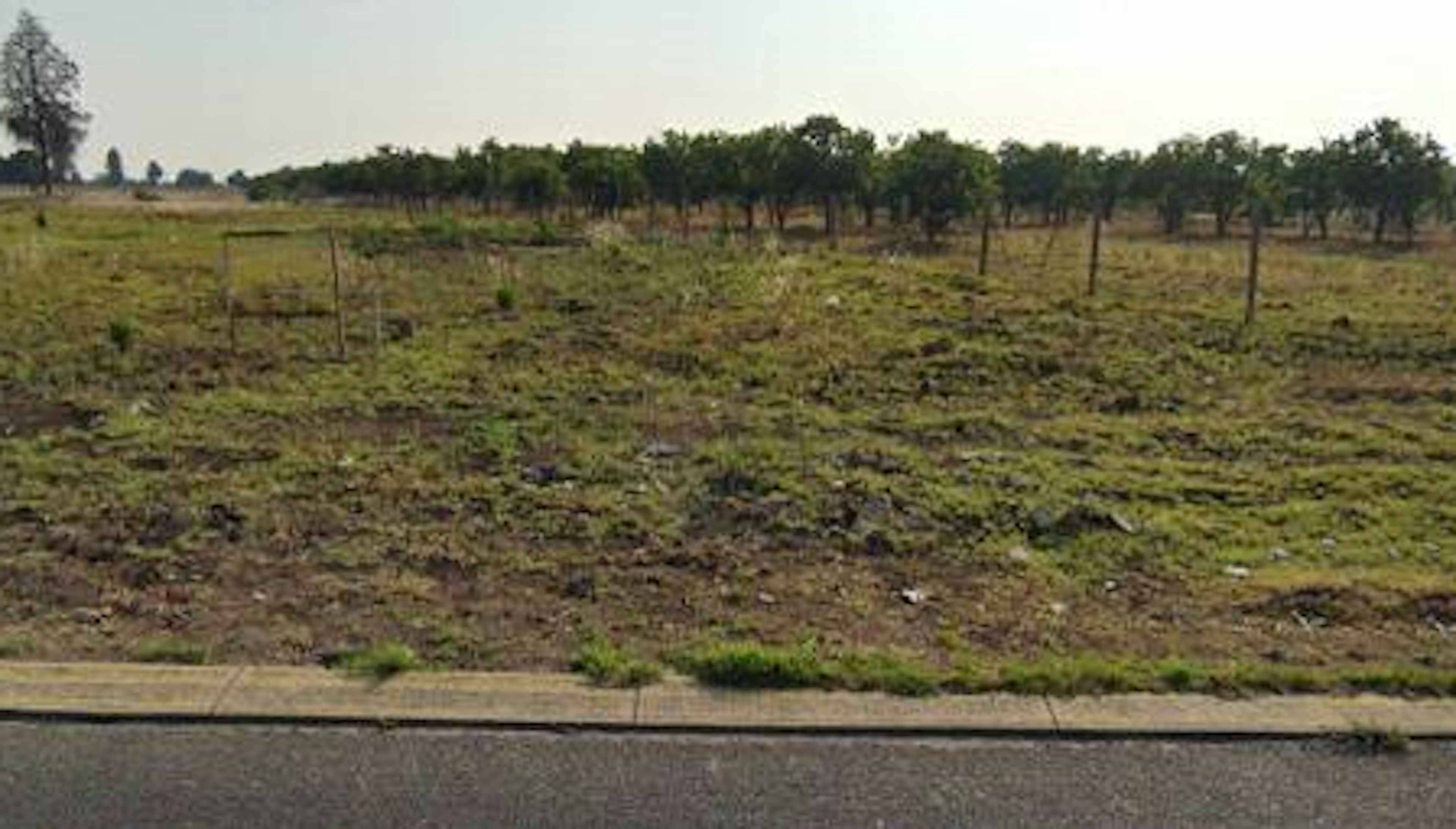 Carretera Federal México-puebla