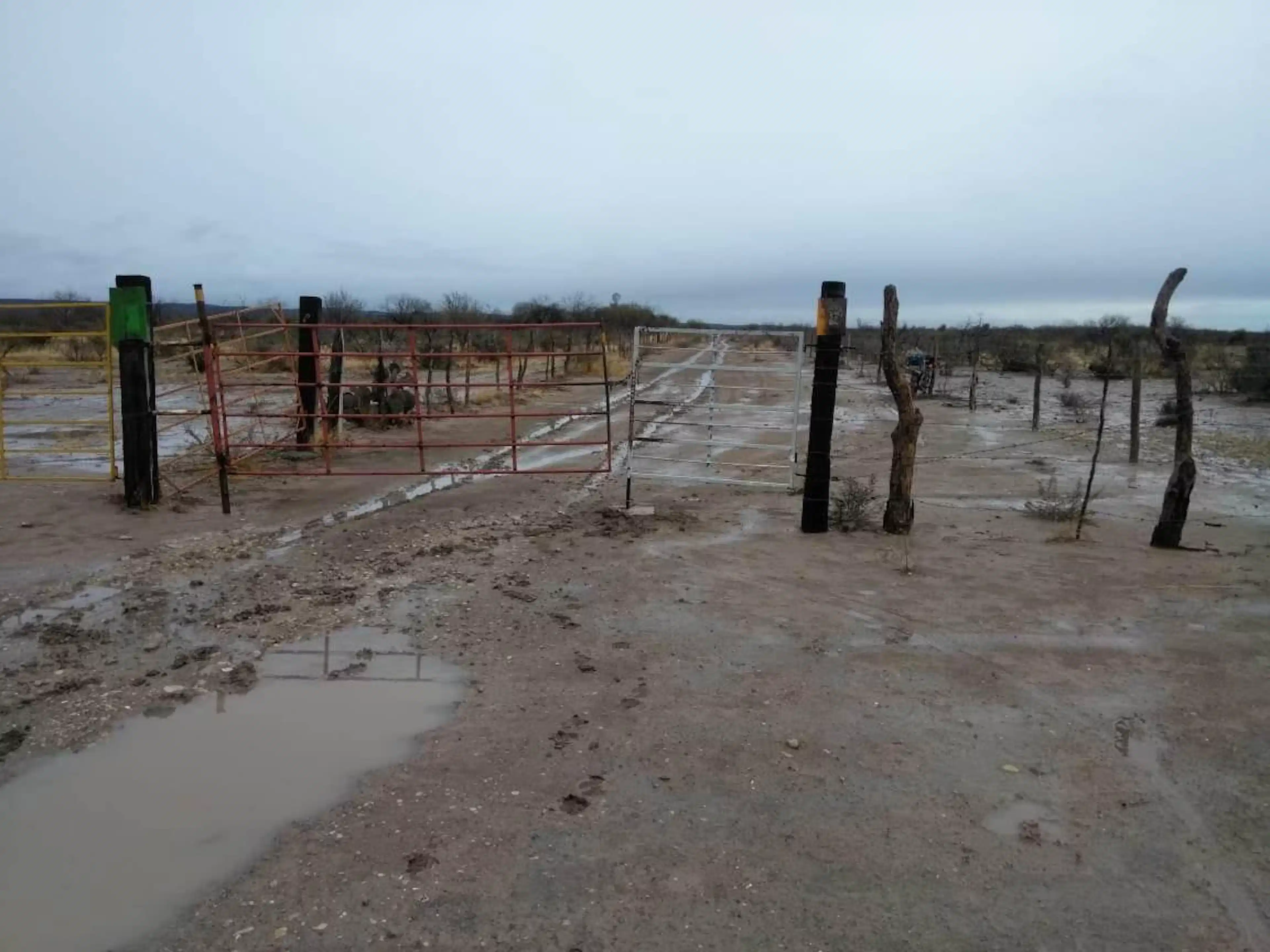 Rancho en Venta (Remate) Nueva Rosita, Coahuila. Ideal Para Ganadería