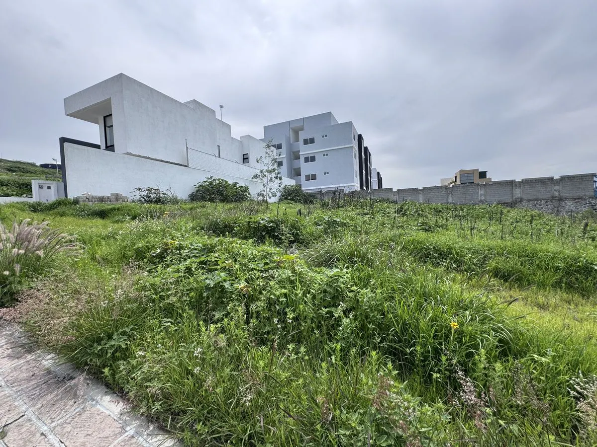 Terreno Spot2
