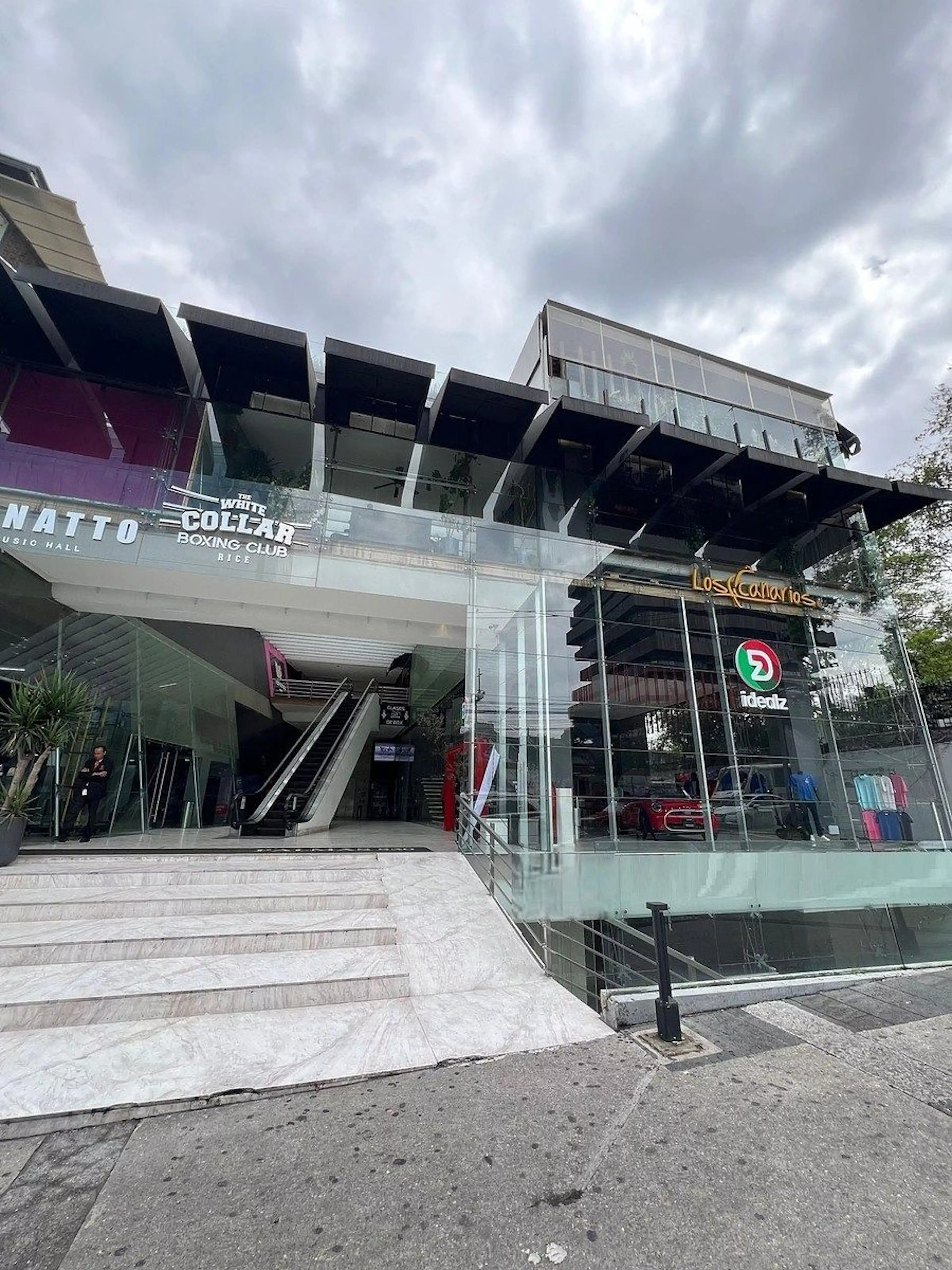 Avenida Paseo De Las Palmas