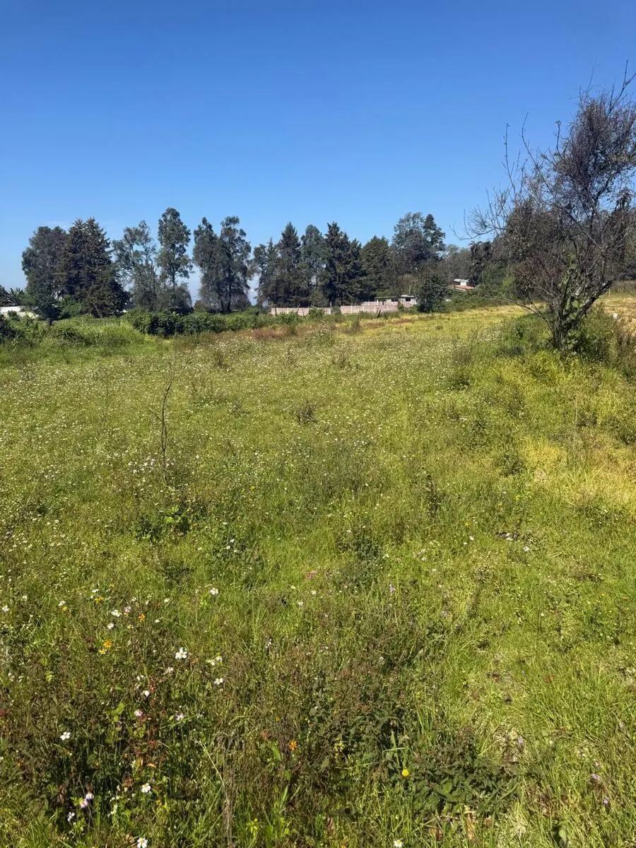 Terreno Spot2