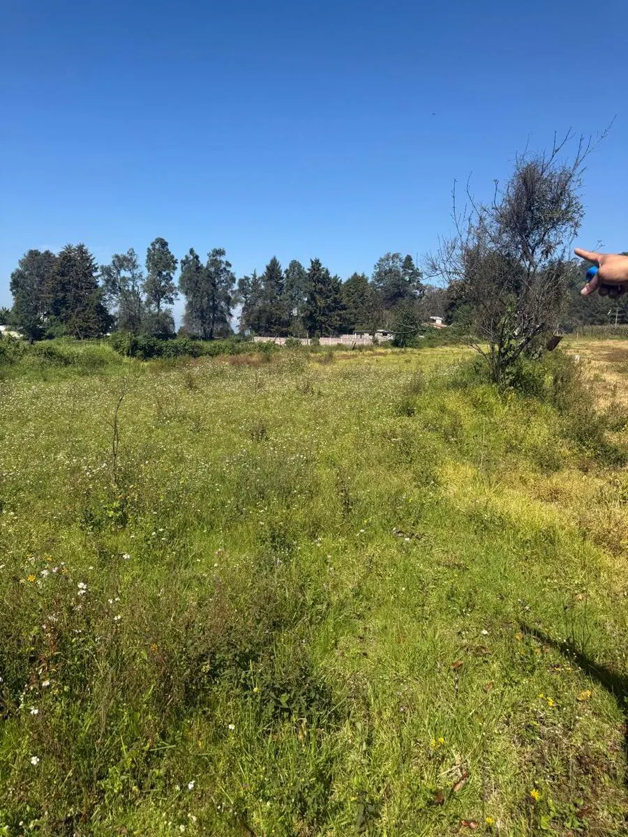 Terreno Spot2
