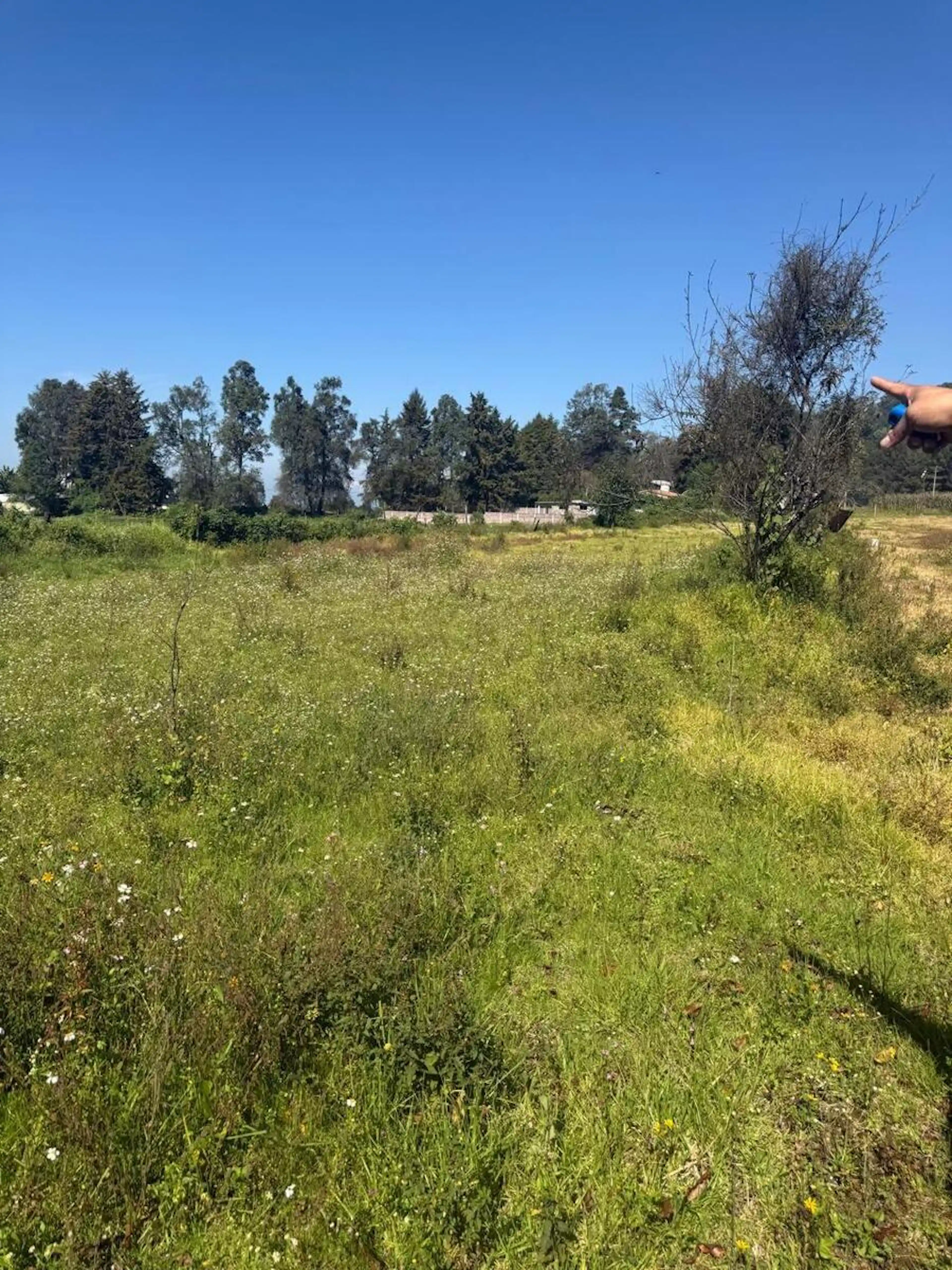 Terreno en San Simon el Alto
