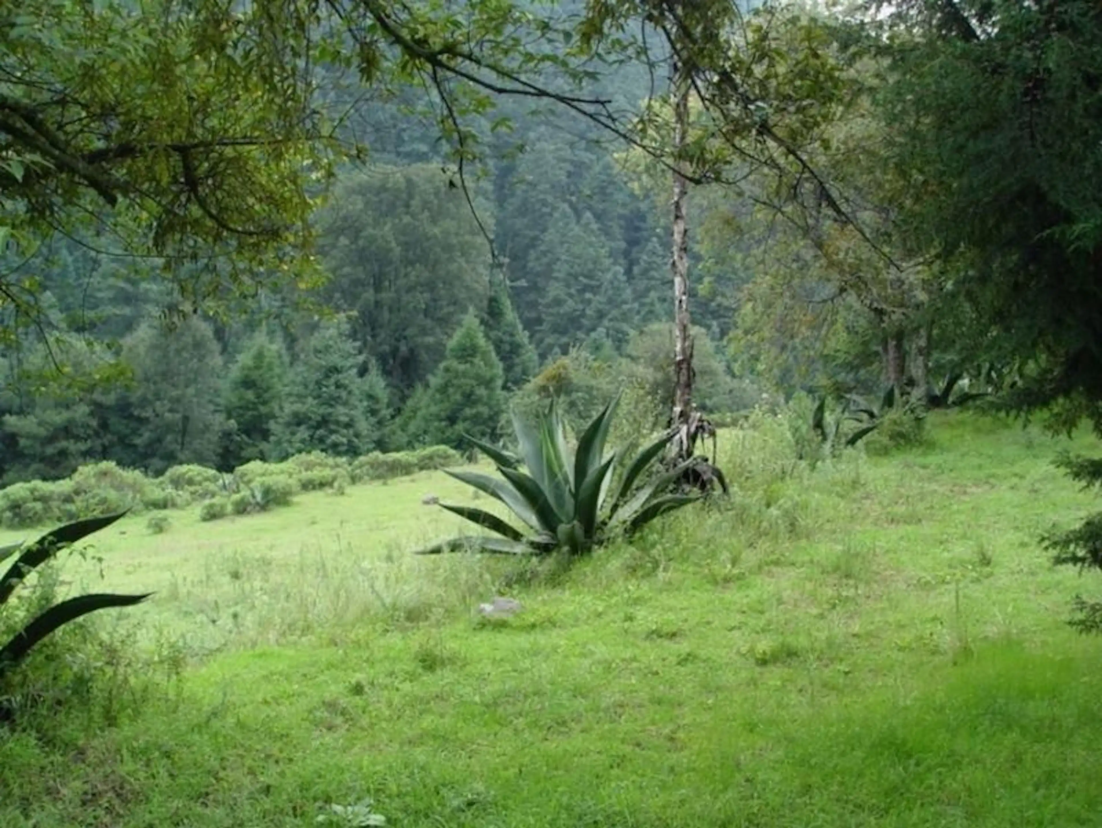 Terrenos Campiranos en Venta | Cañada de Alférez, Estado de México