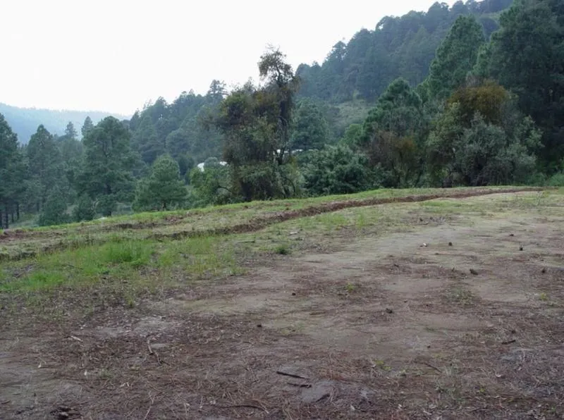 Terreno Spot2