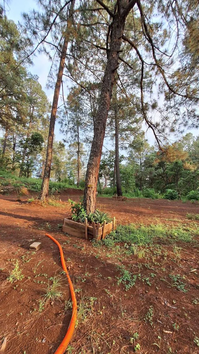 Terreno Spot2