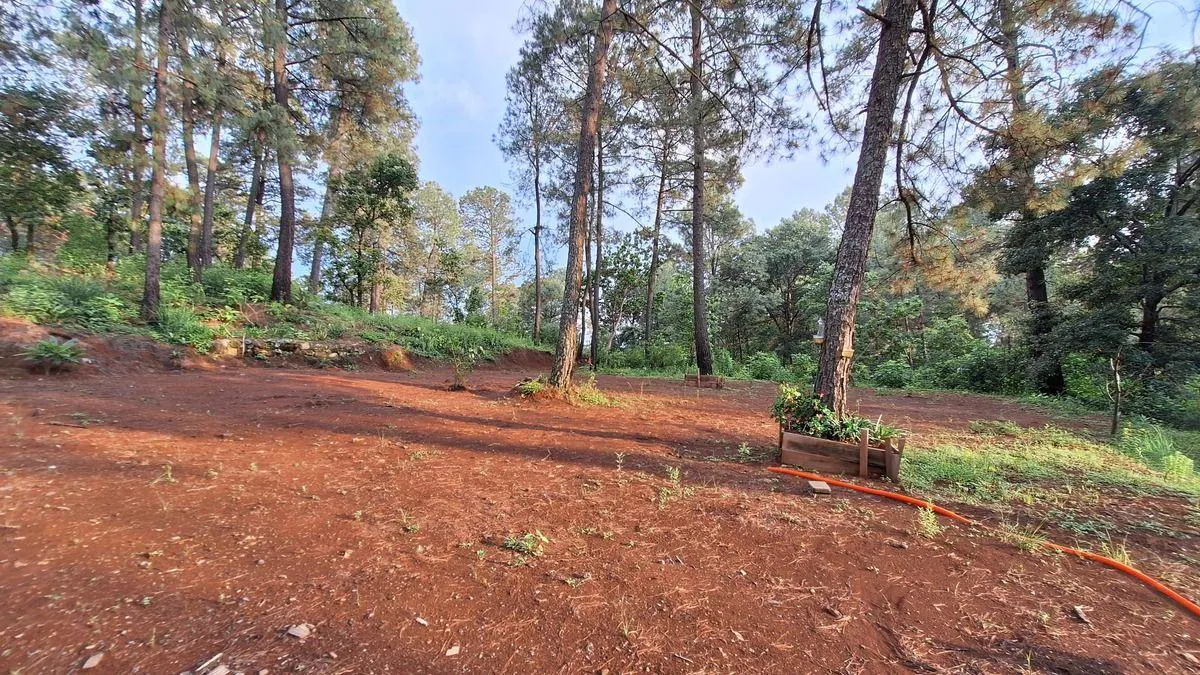 Terreno Spot2