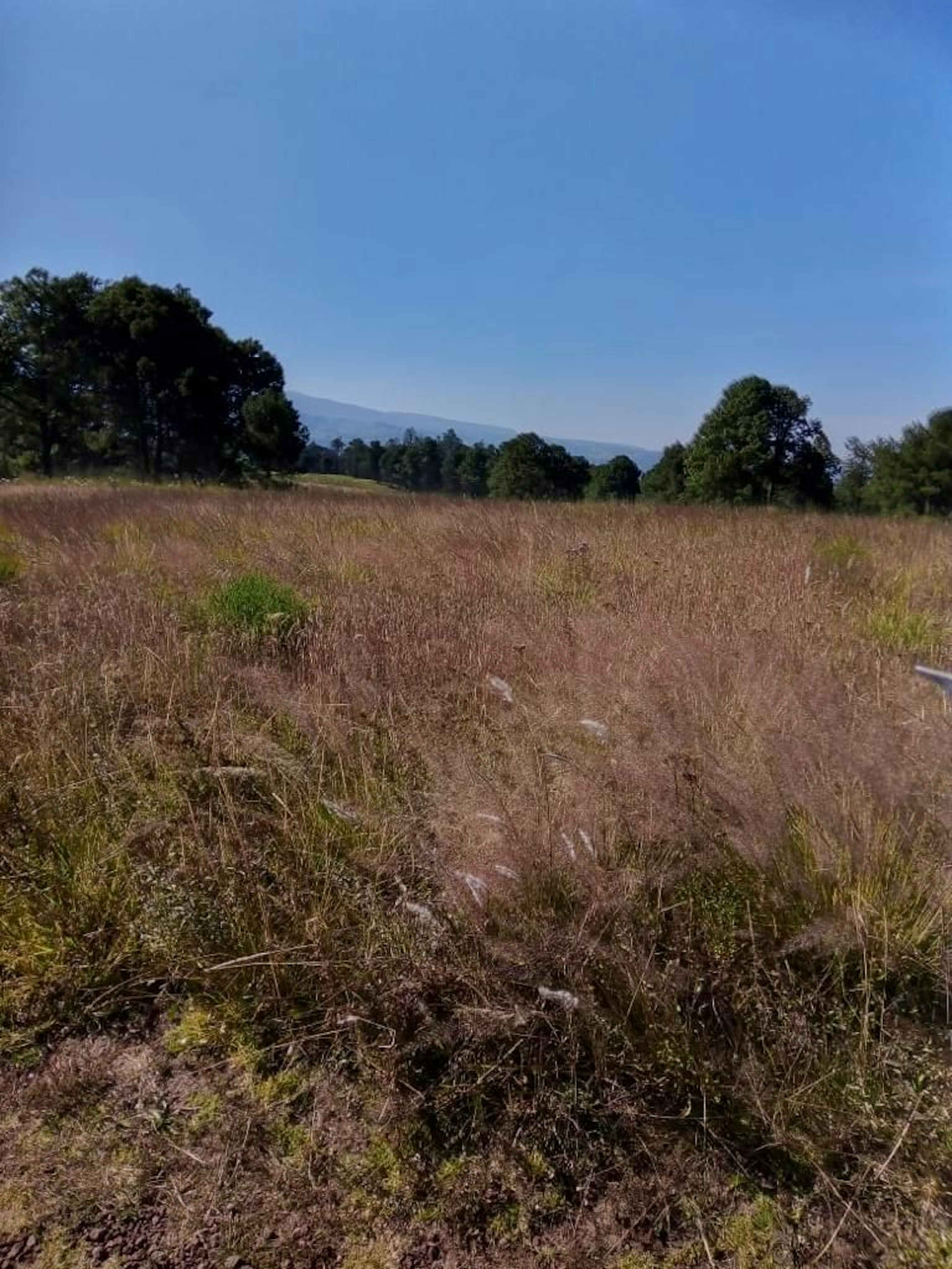 Venta Terreno Jilotzingo At´n Inversionistas!