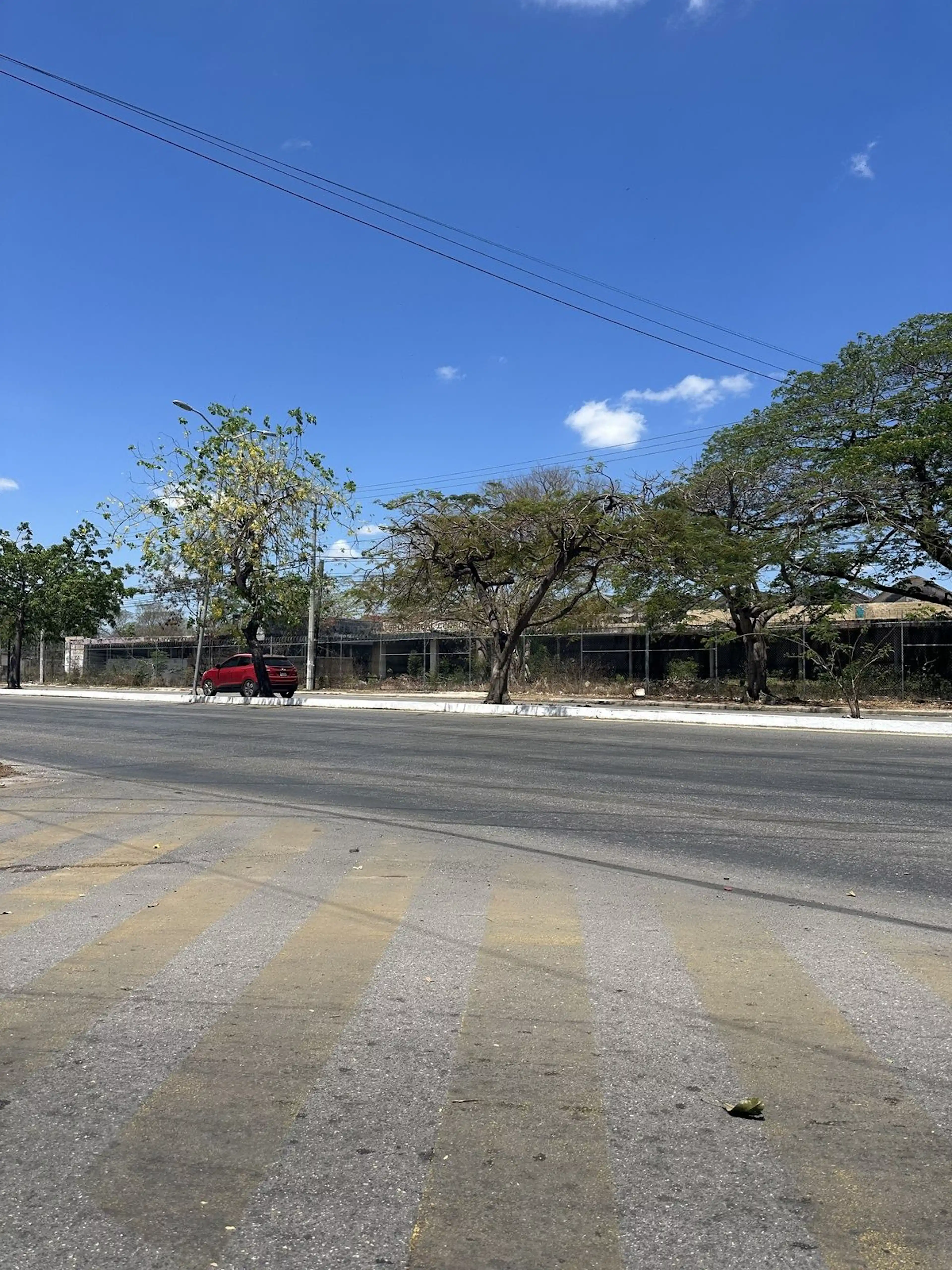 Terreno En El Centro De Mérida