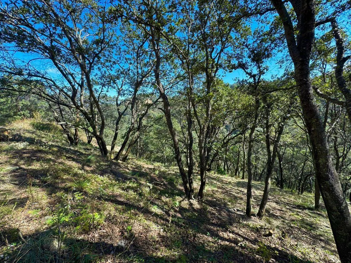 Terreno Spot2