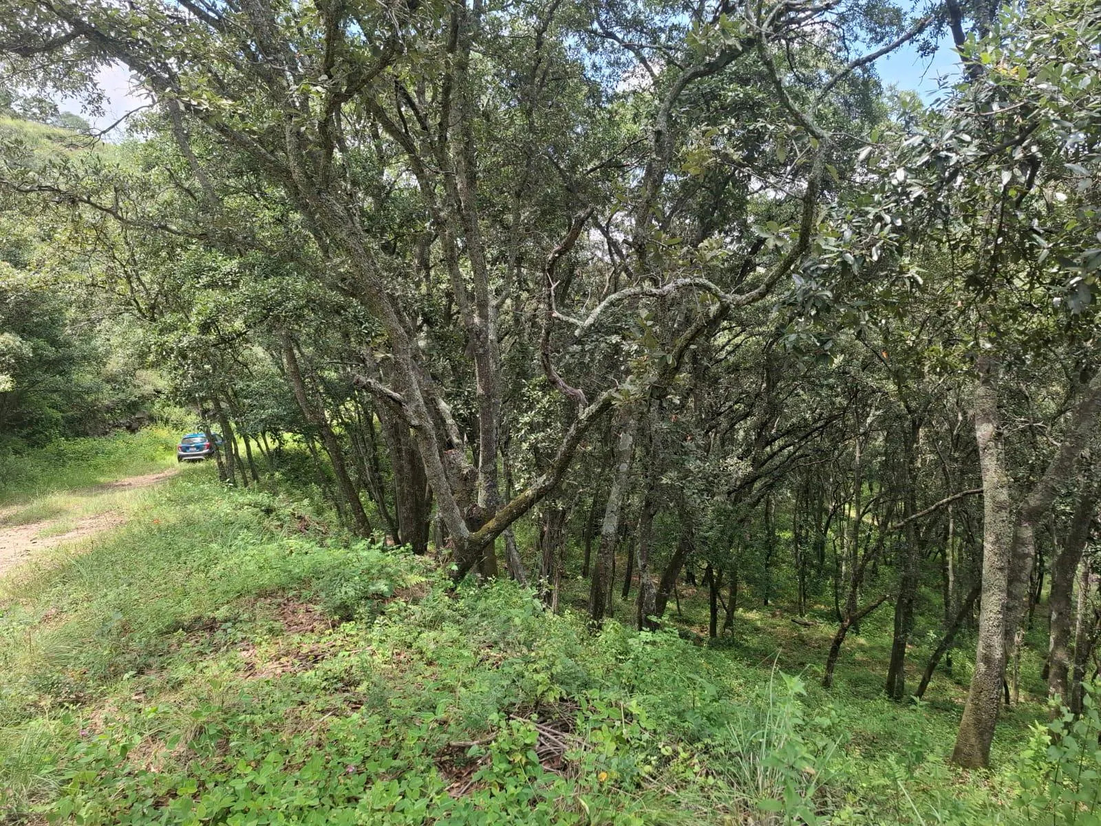 Terreno Spot2