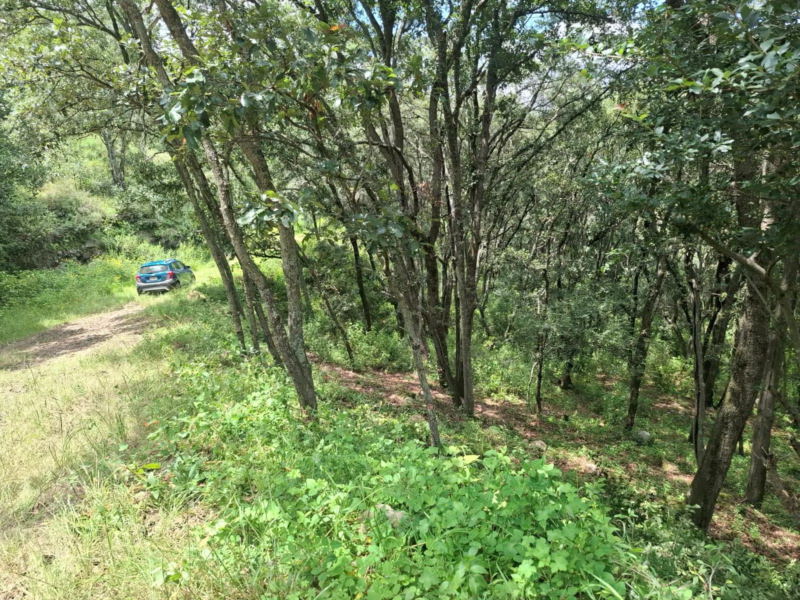 Terreno Spot2