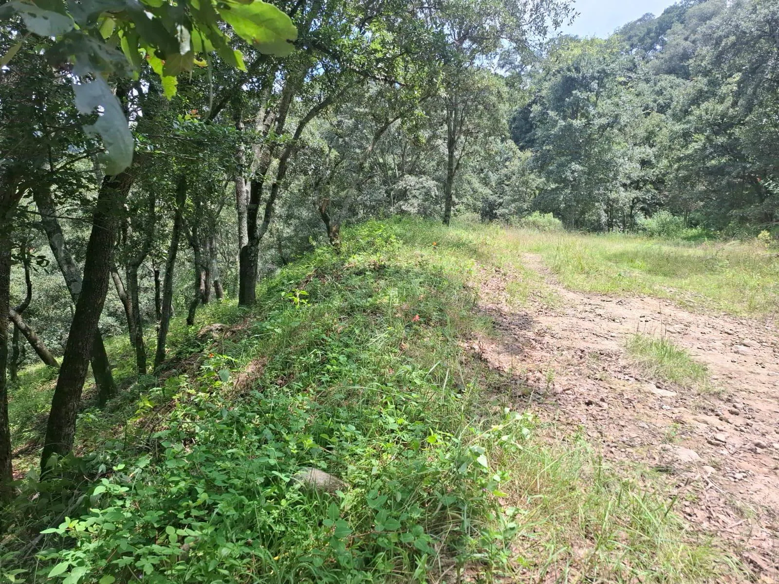 Terreno Spot2