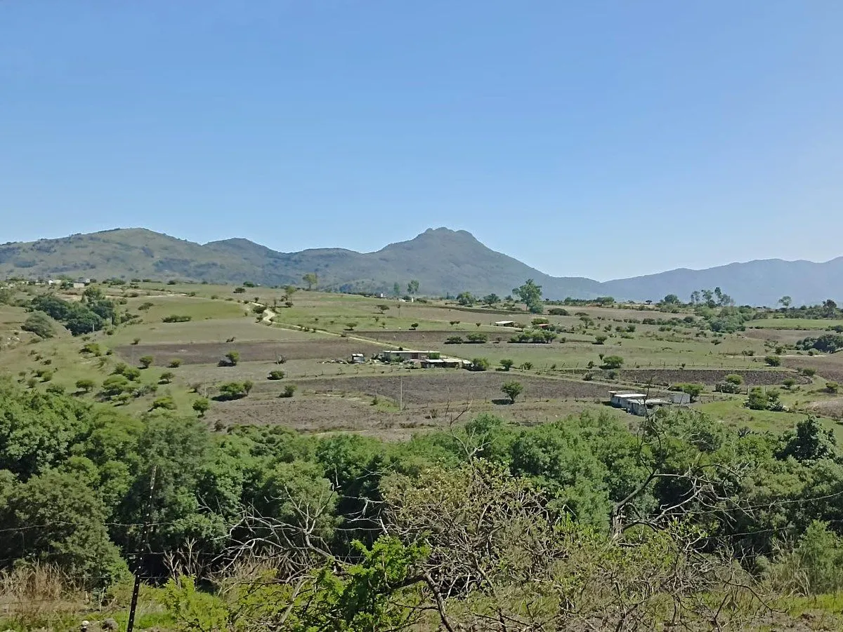 Terreno Spot2