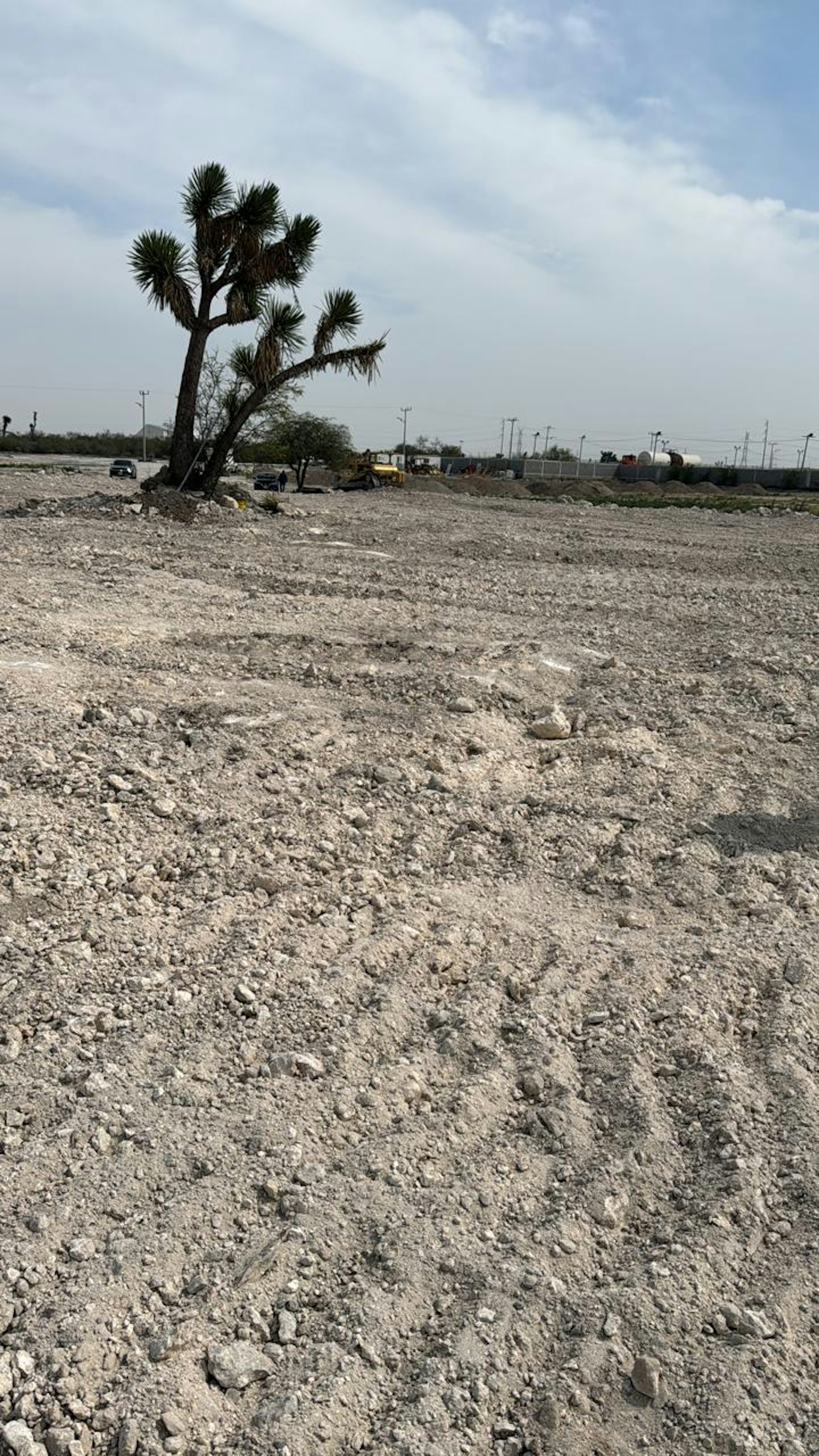 La imagen muestra un terreno árido y rocoso, posiblemente en una zona desértica o semidesértica. En el centro se observa un árbol tipo yuca o similar, característico de climas secos. Al fondo se ven postes de electricidad y algunas estructuras, sugiriendo que es un área en desarrollo o con potencial para construcción. El terreno parece estar nivelado, lo que podría indicar una preparación para futuros proyectos inmobiliarios.