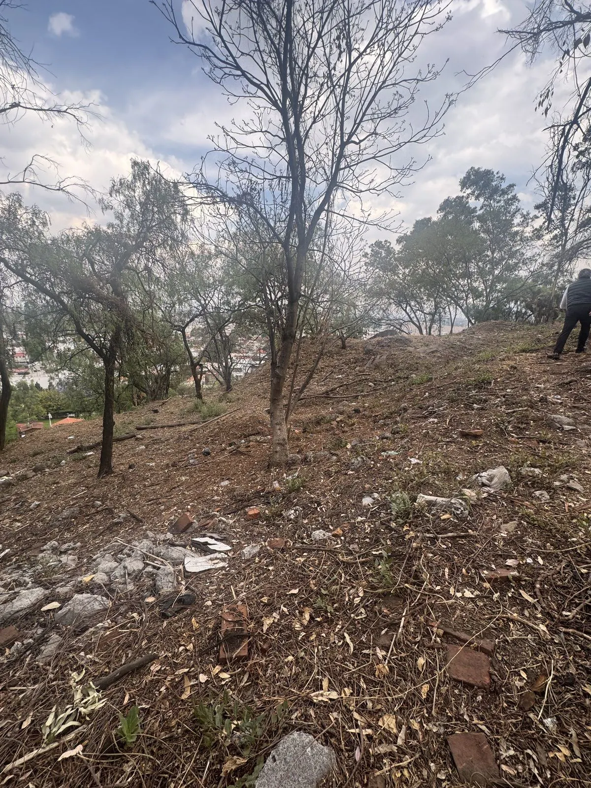 Terreno Spot2