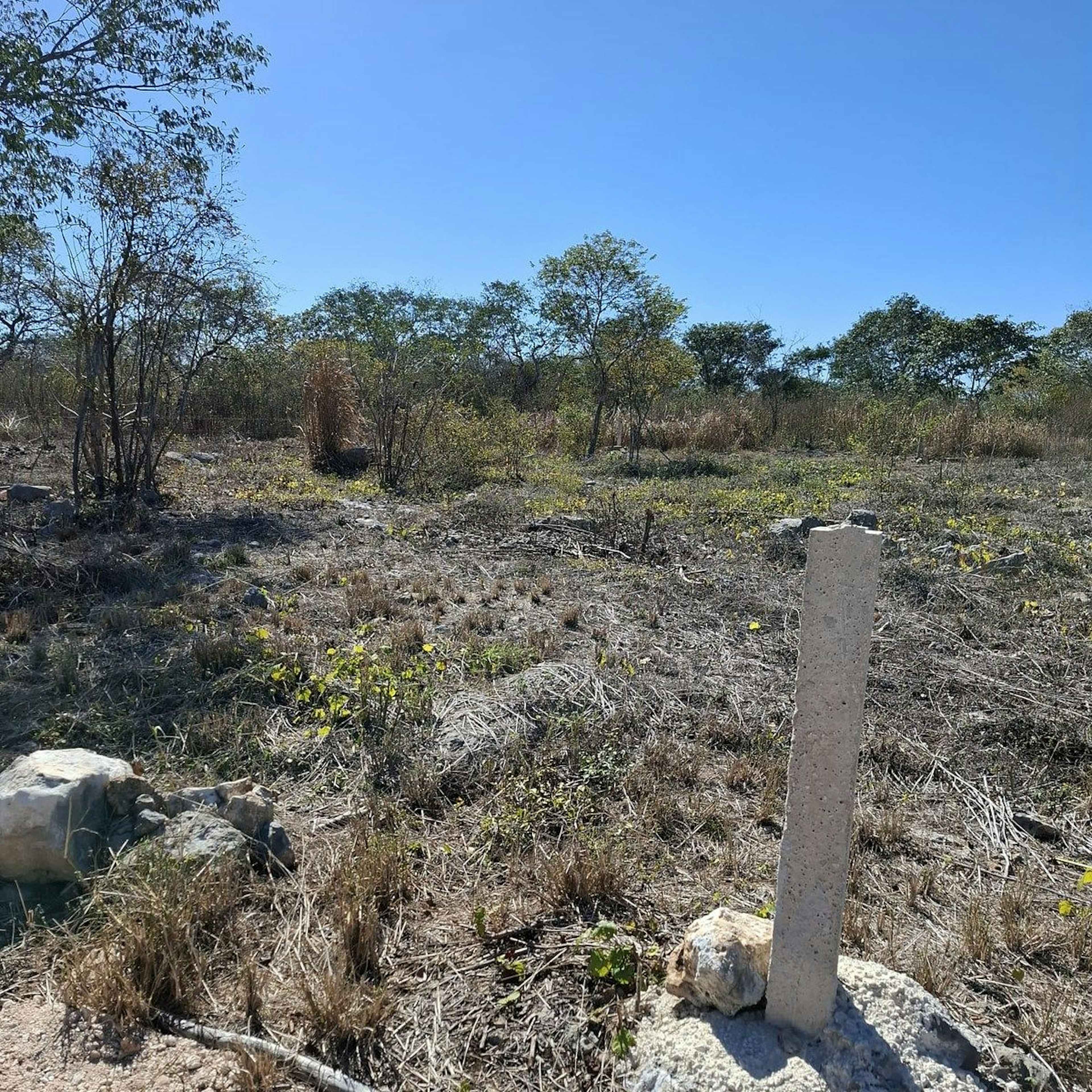 Oportunidad Encaminado A Regularizar
