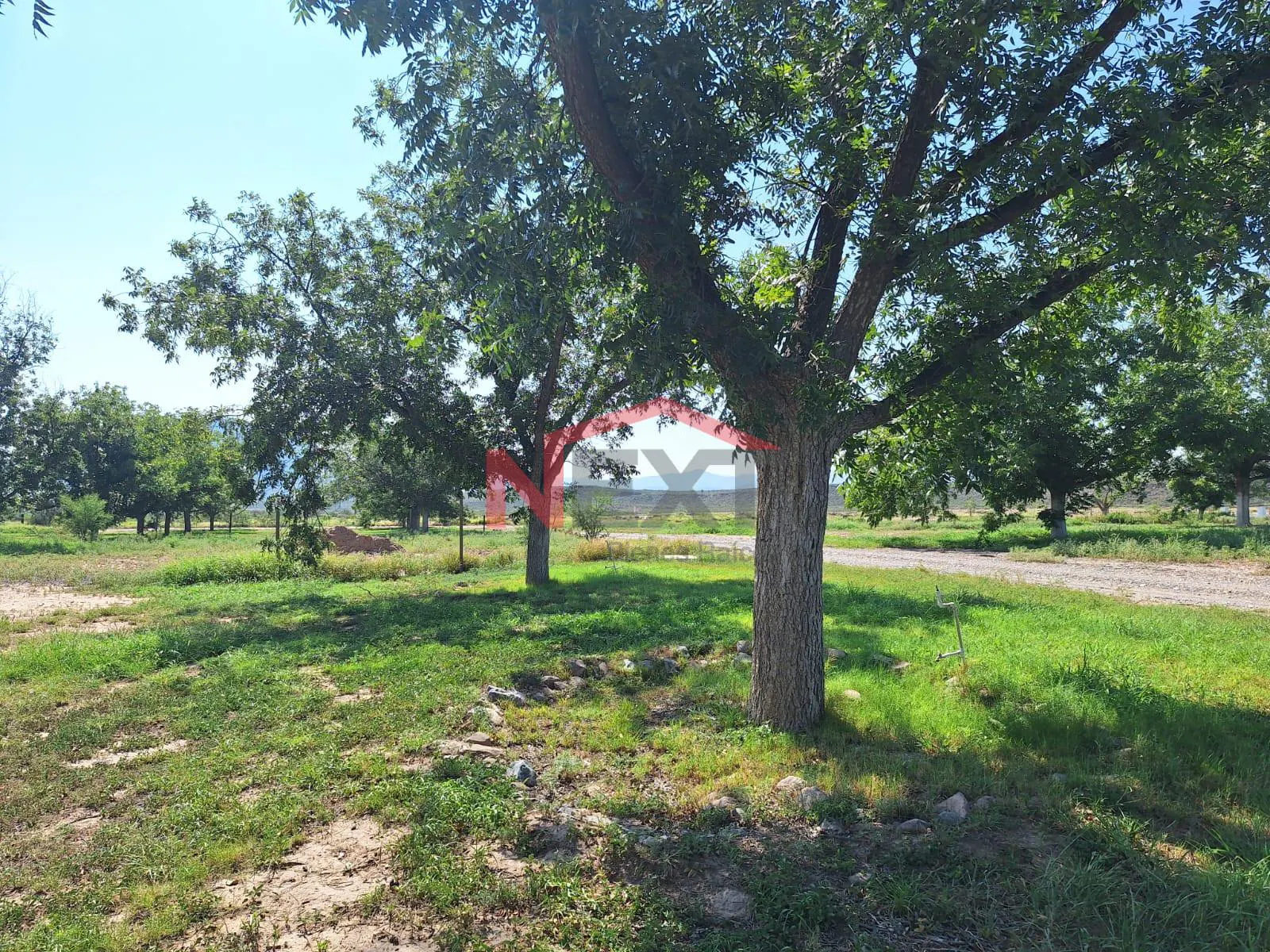 Terreno Spot2