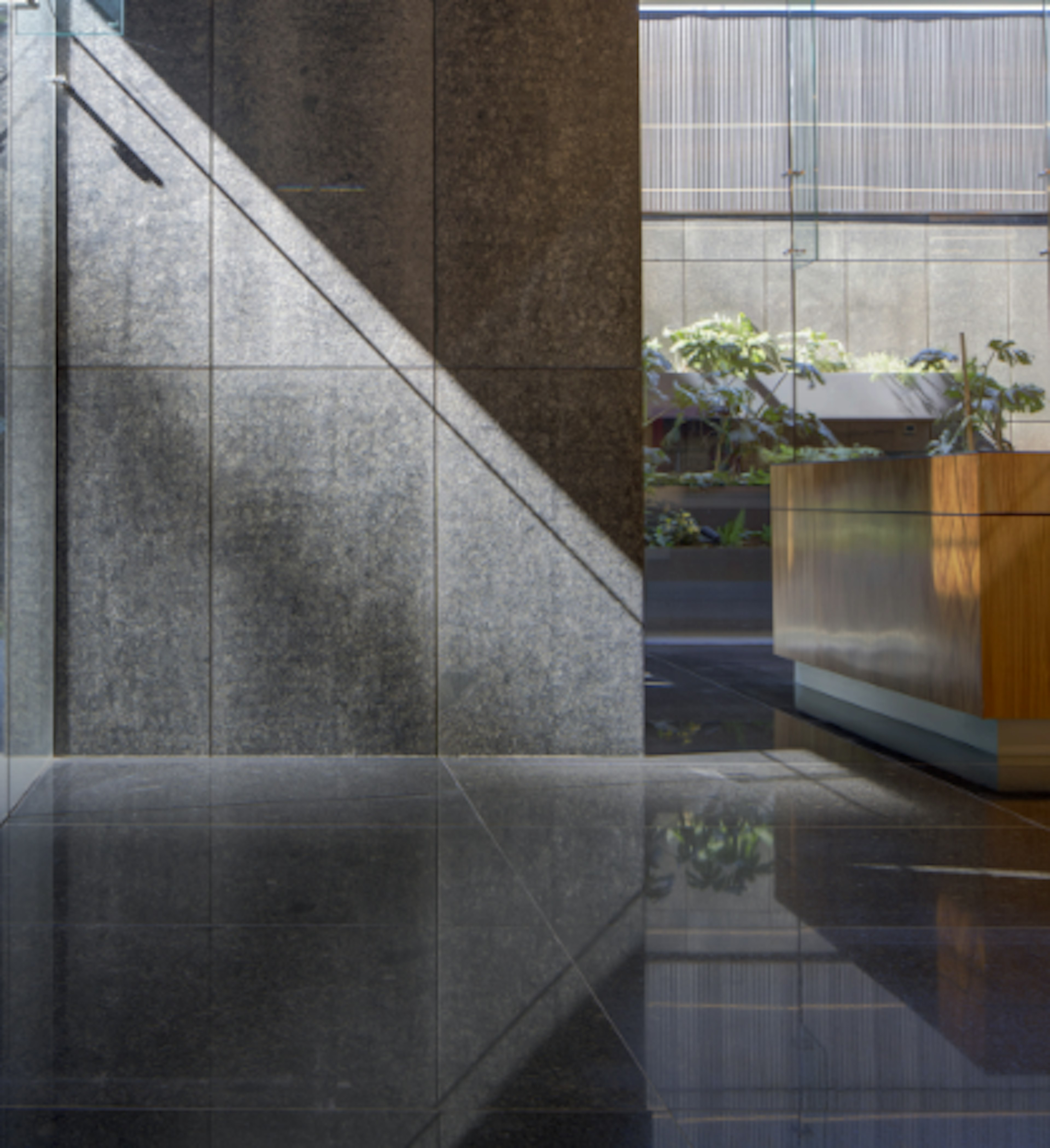 Nivel 2 Consultorio  10-photo