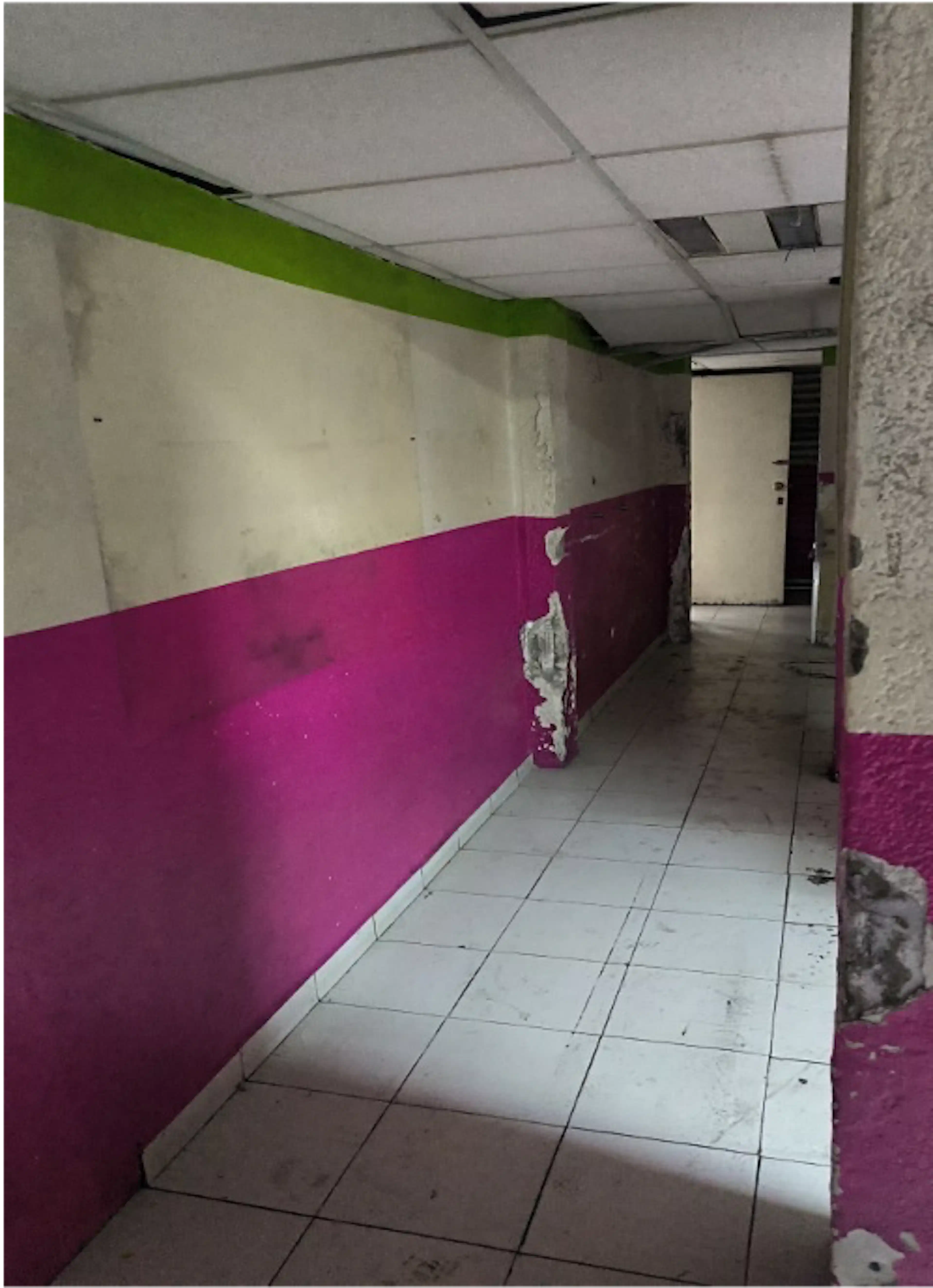 Edificio en Obra Gris Venta/ Renta Leon Tolstoi, Anzures, Miguel Hidalgo, CDMX