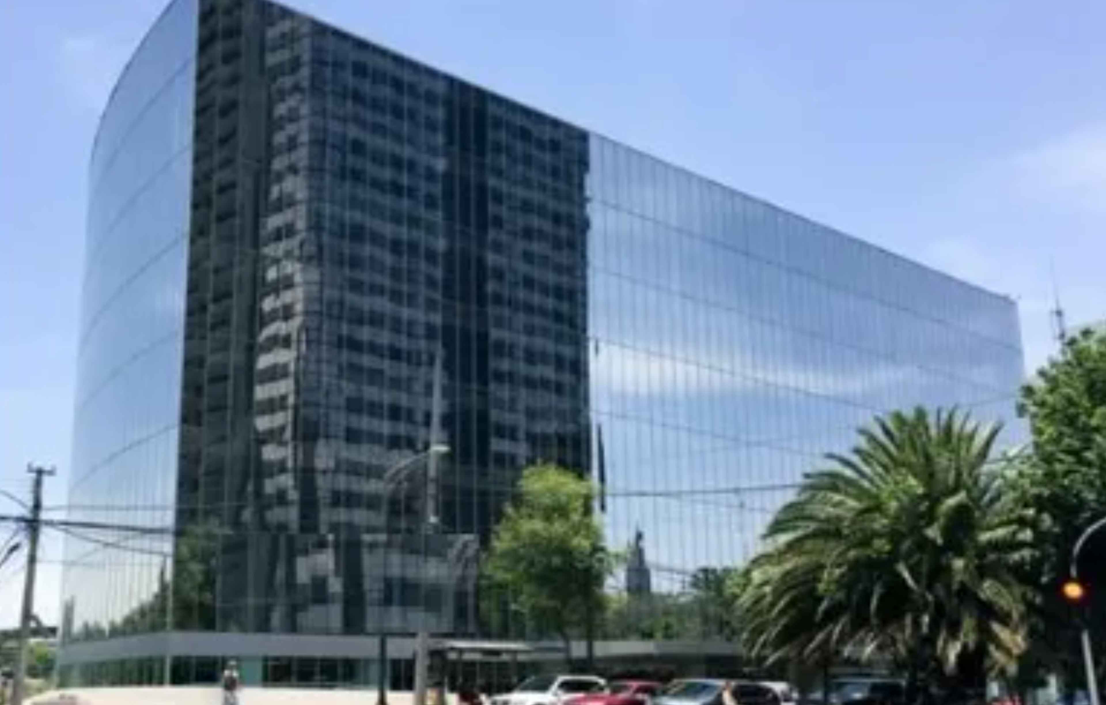 Avenida Paseo De Las Palmas