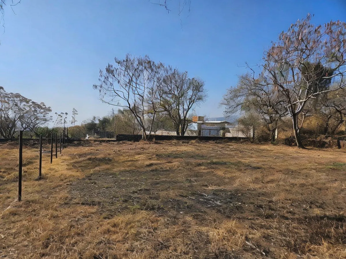 Terreno Spot2