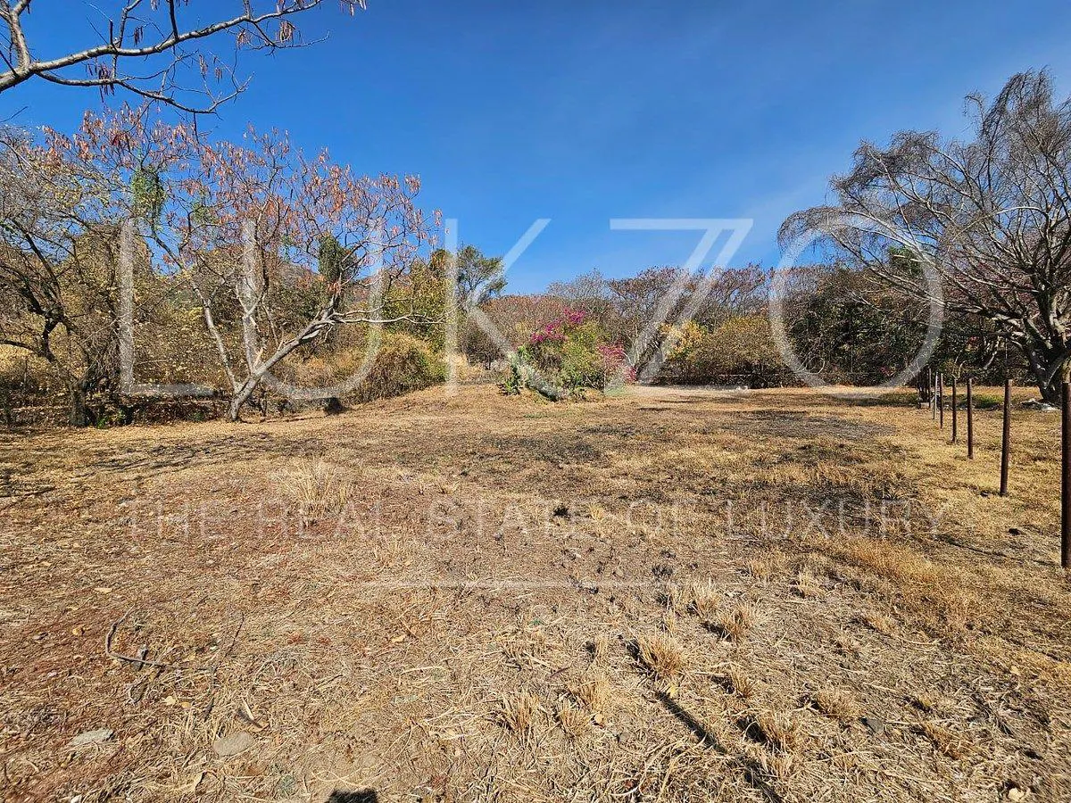 Terreno Spot2