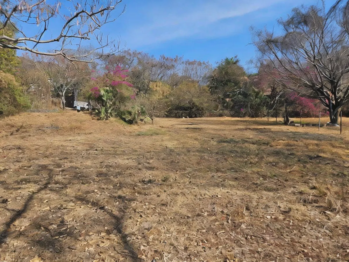 Terreno Spot2