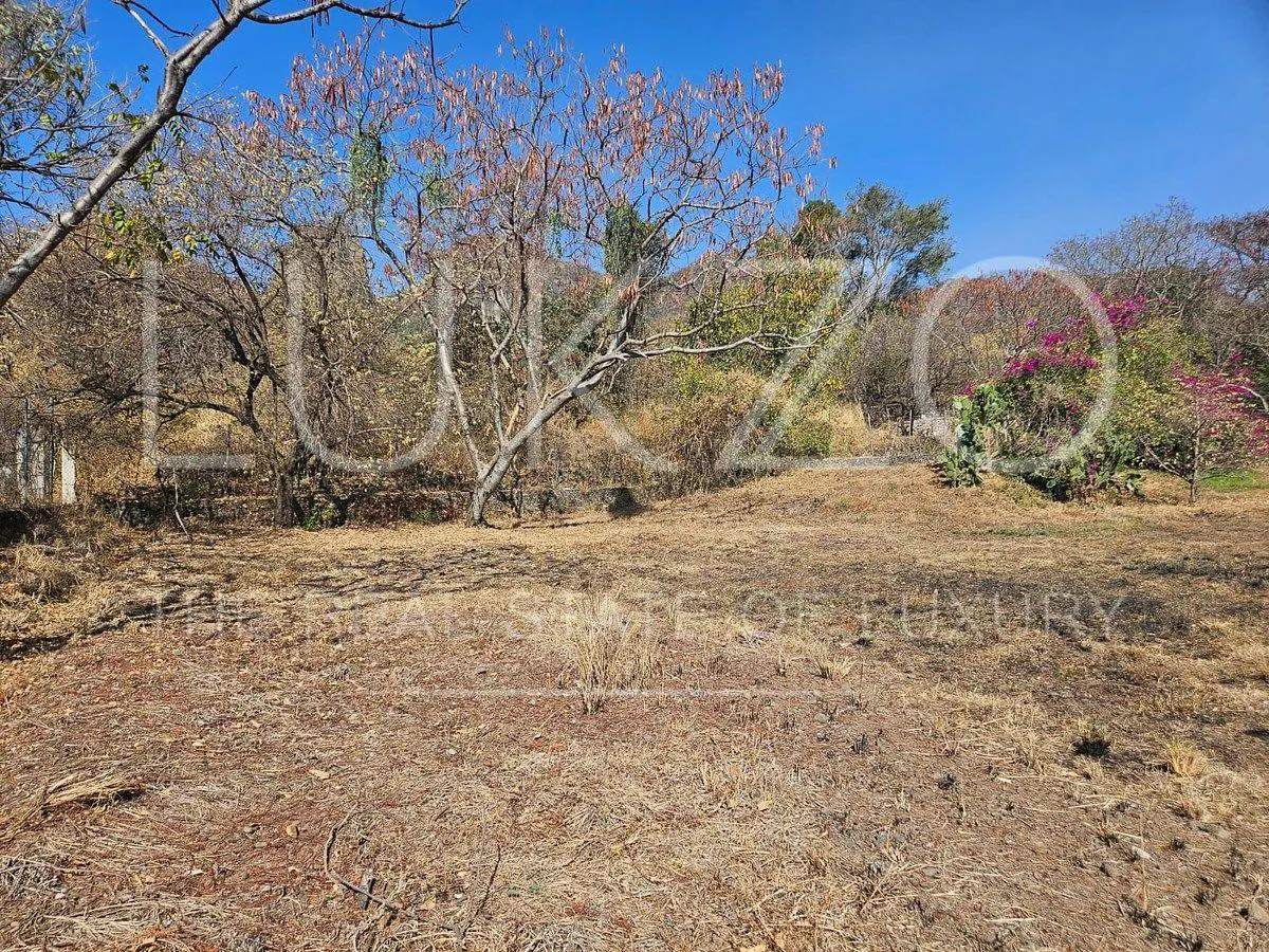 Terreno Spot2