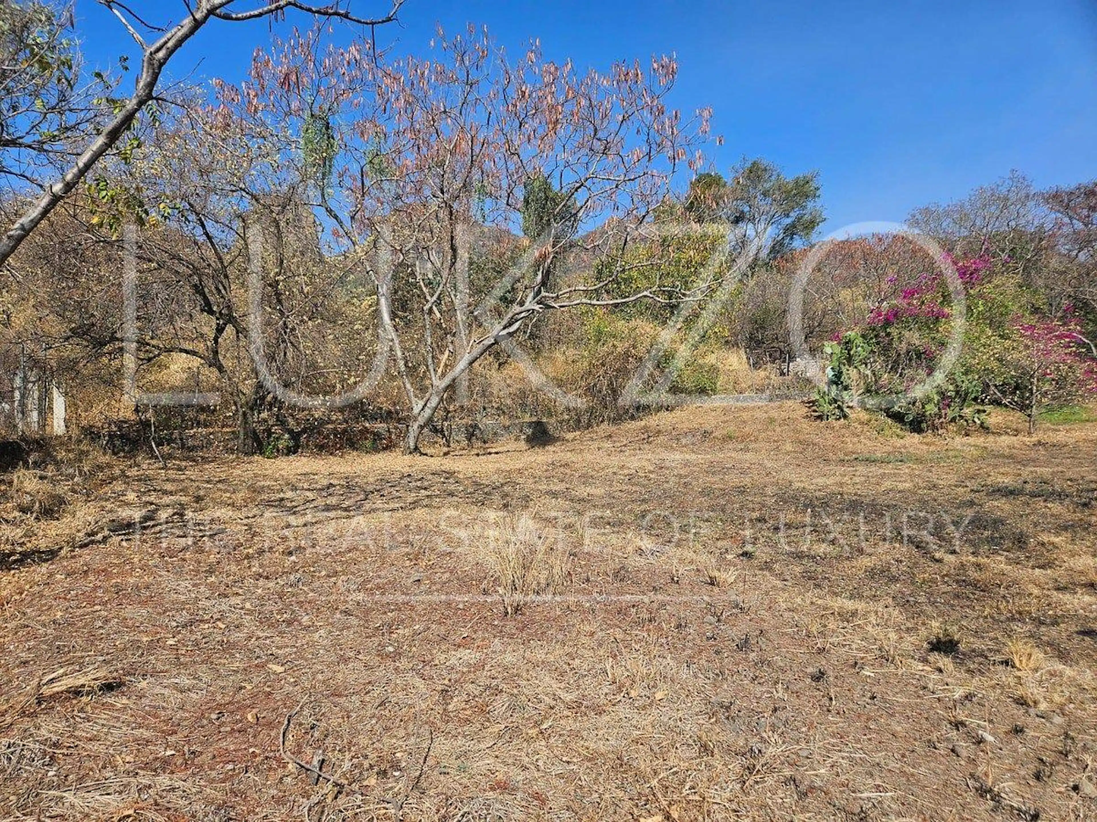 Terreno en venta en Santiago Tepetlapa, Tepoztlan