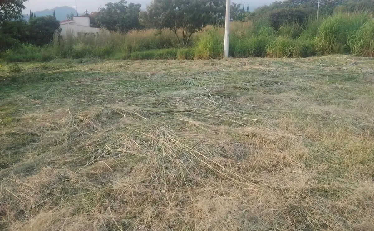 Terreno Spot2