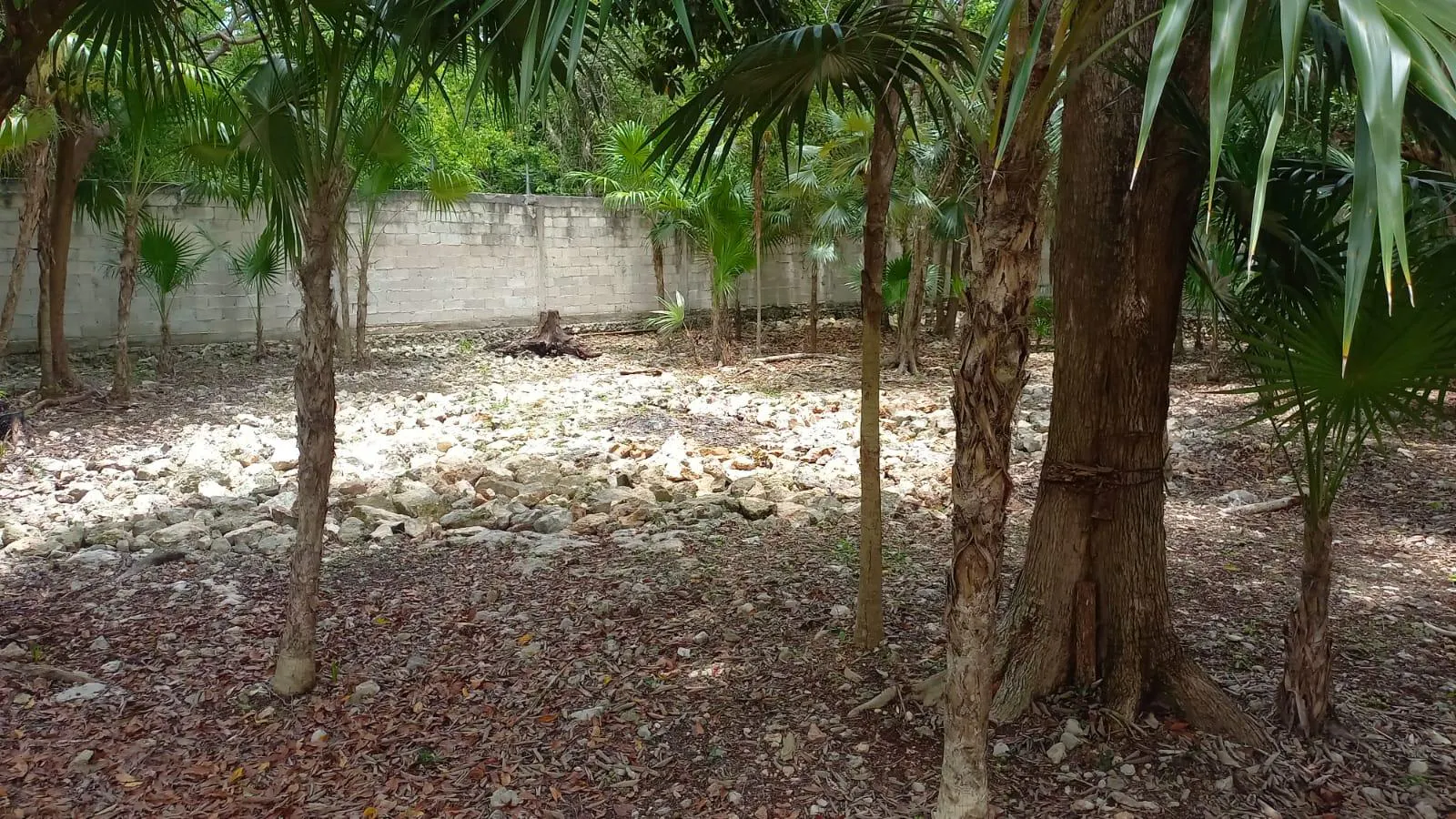 Terreno Spot2