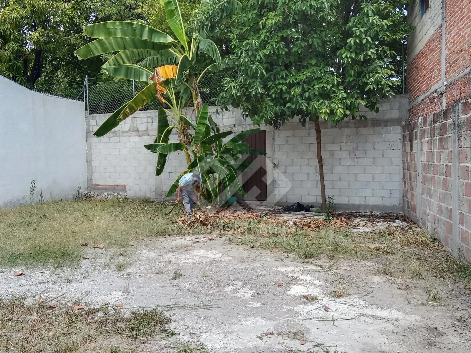 Terreno Spot2