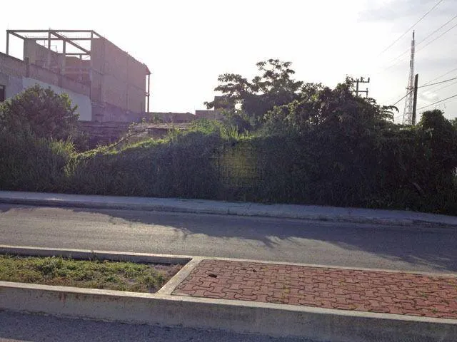 Terreno Spot2