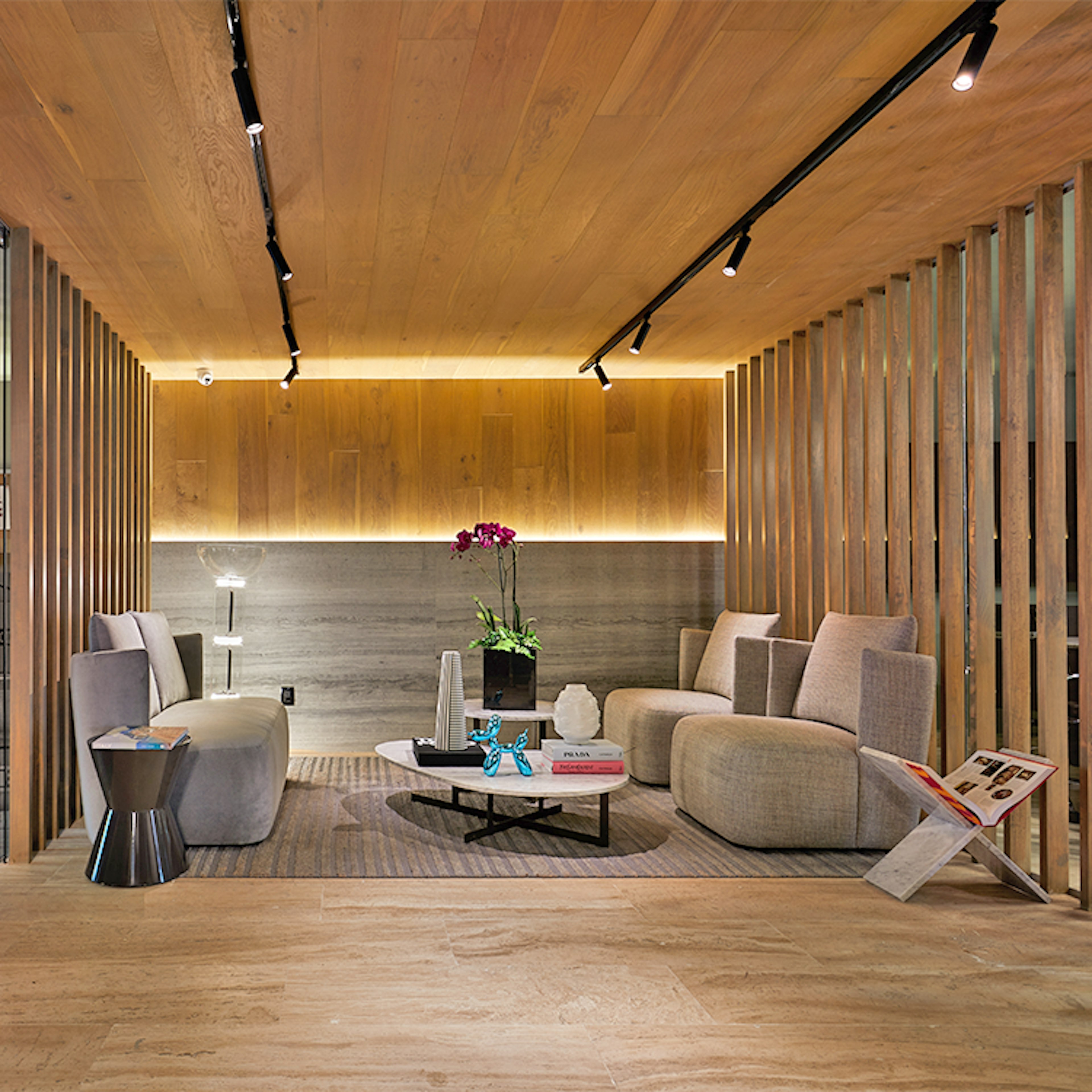 Piso 7 7001- A-photo