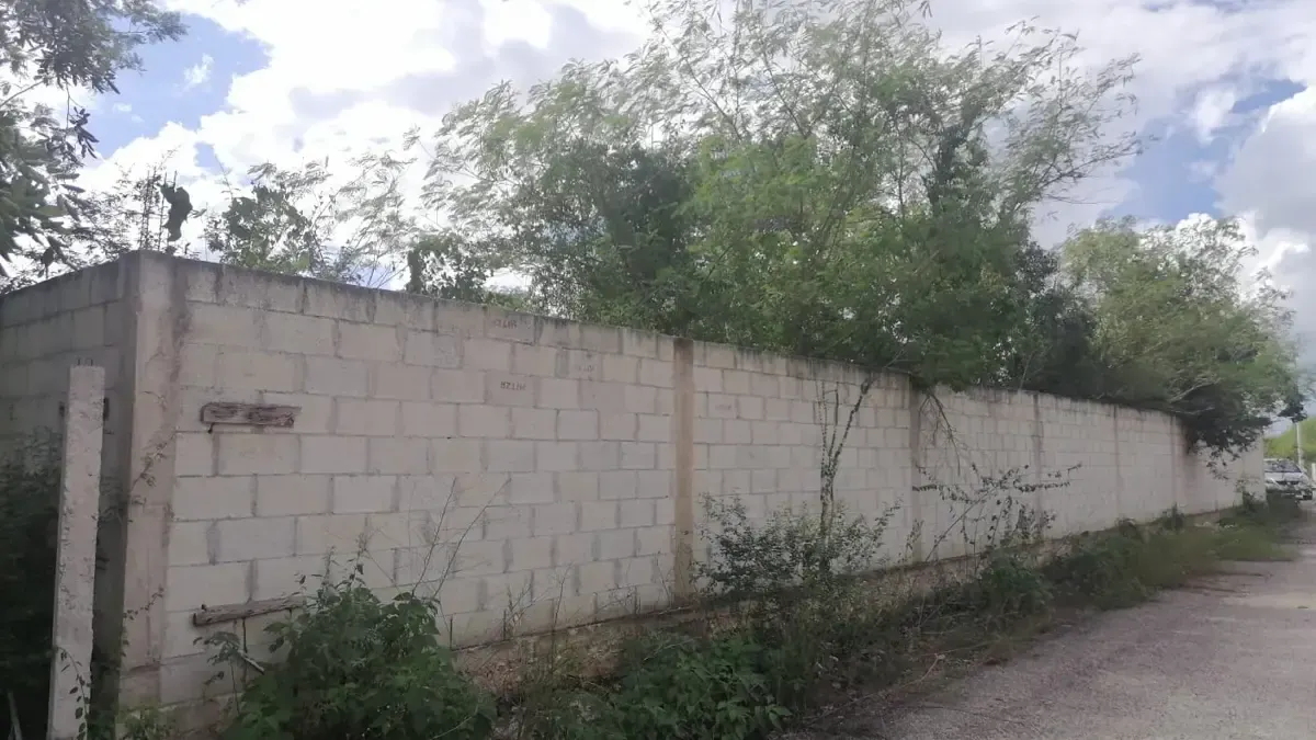 Terreno Spot2