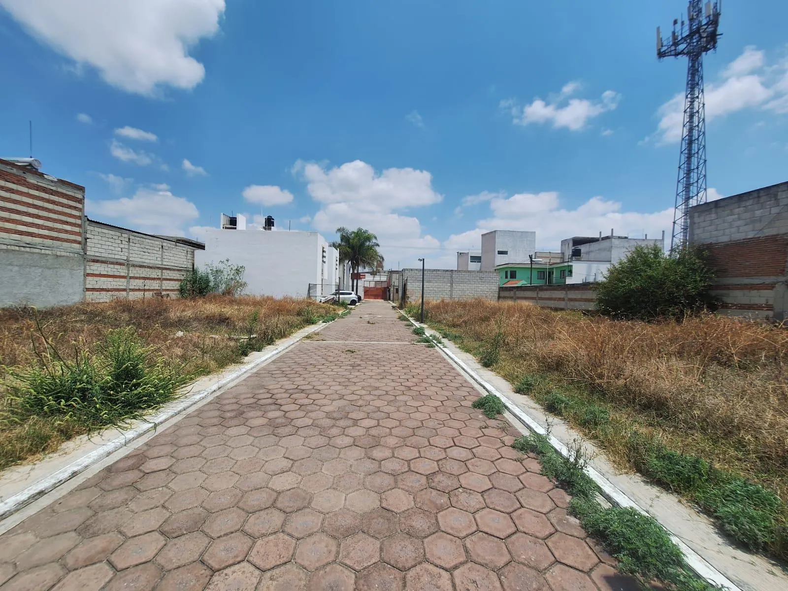 Terreno Spot2