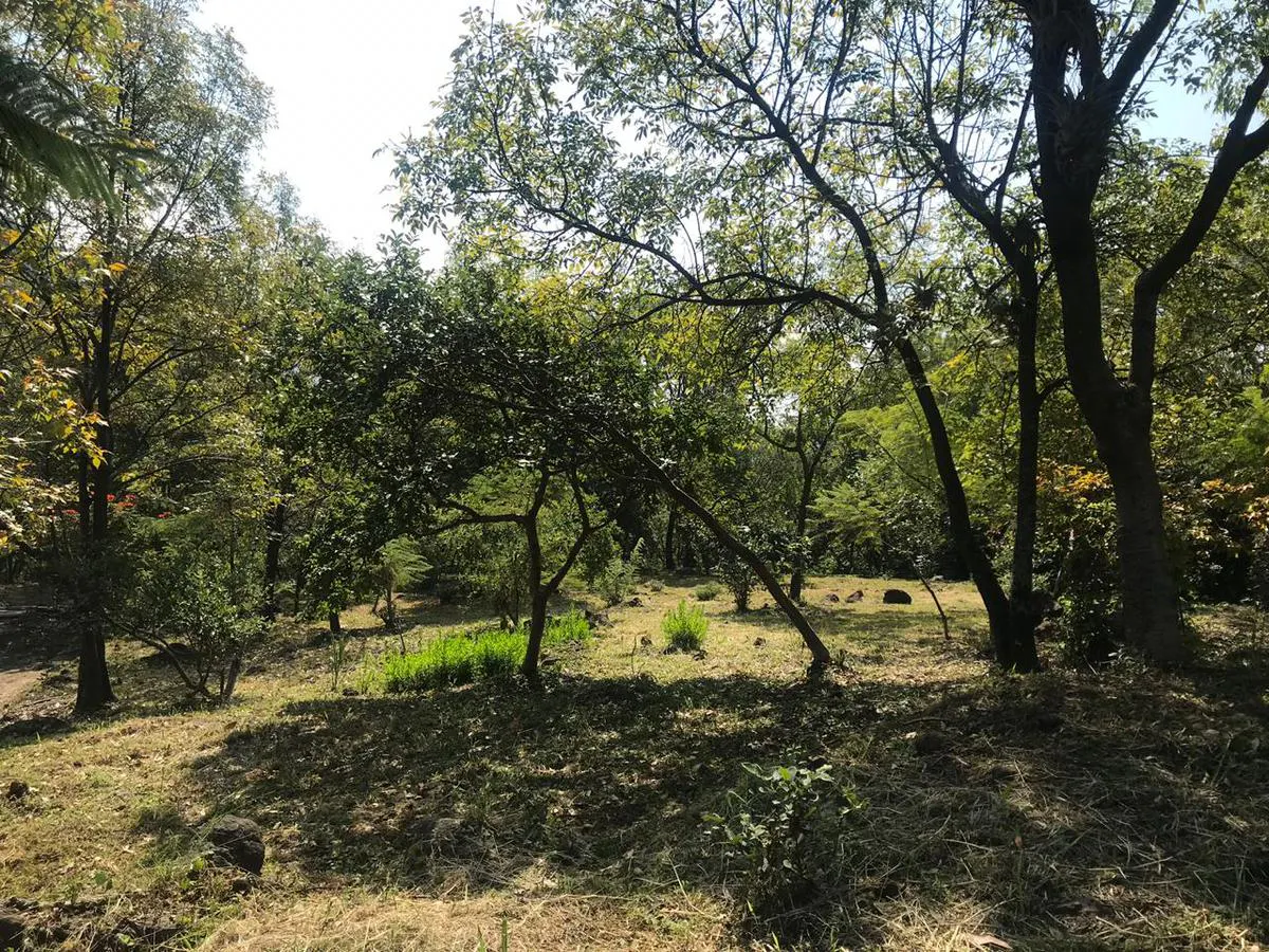 Terreno Spot2