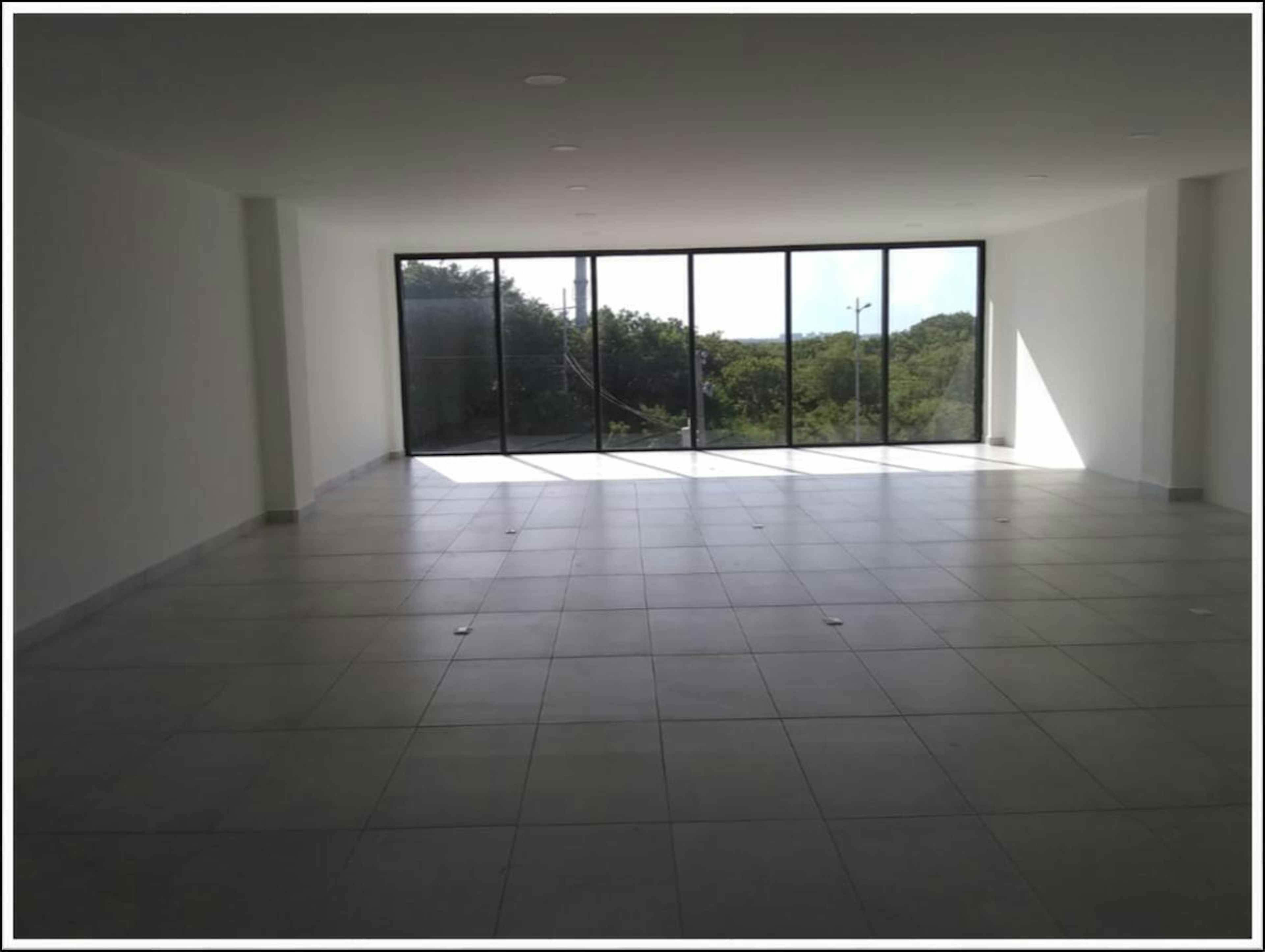 Luis Donaldo Colosio Mz