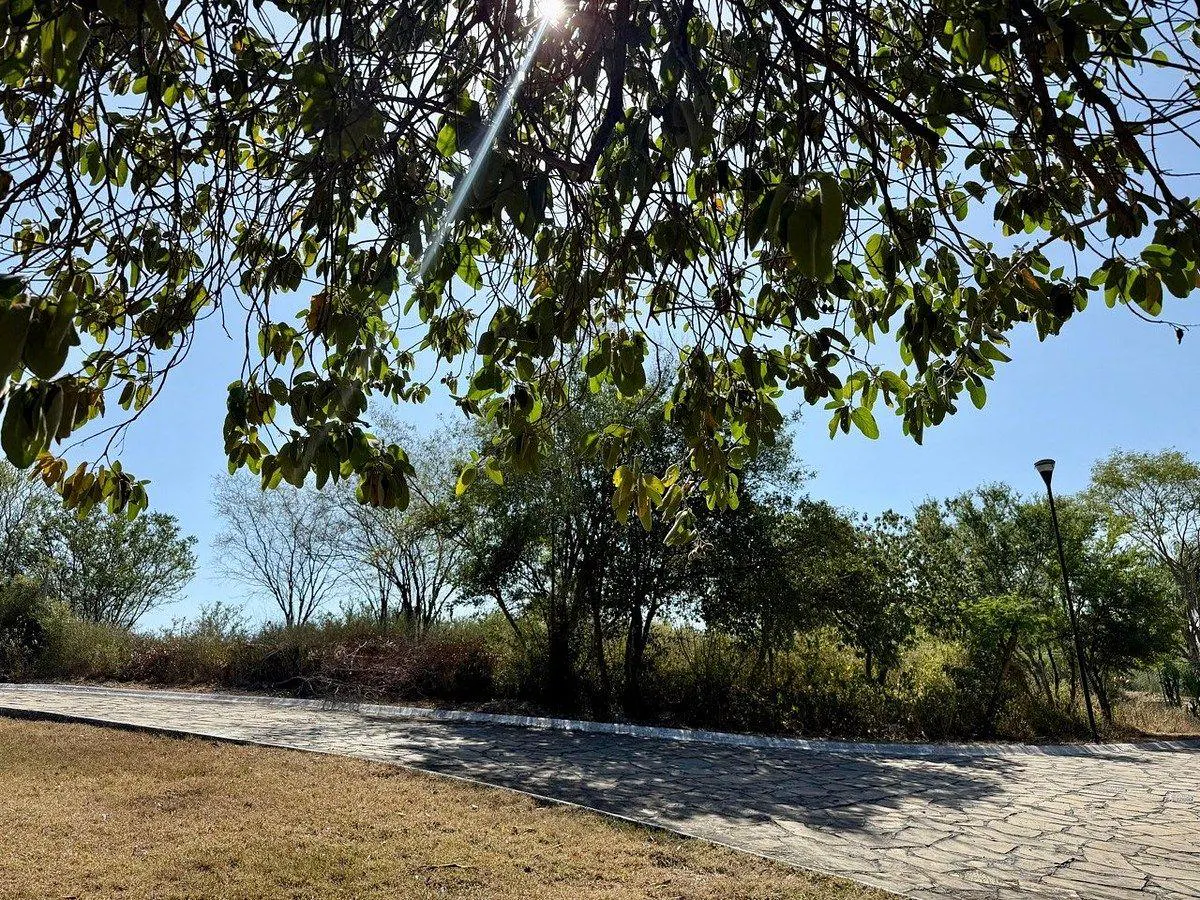 Terreno Spot2