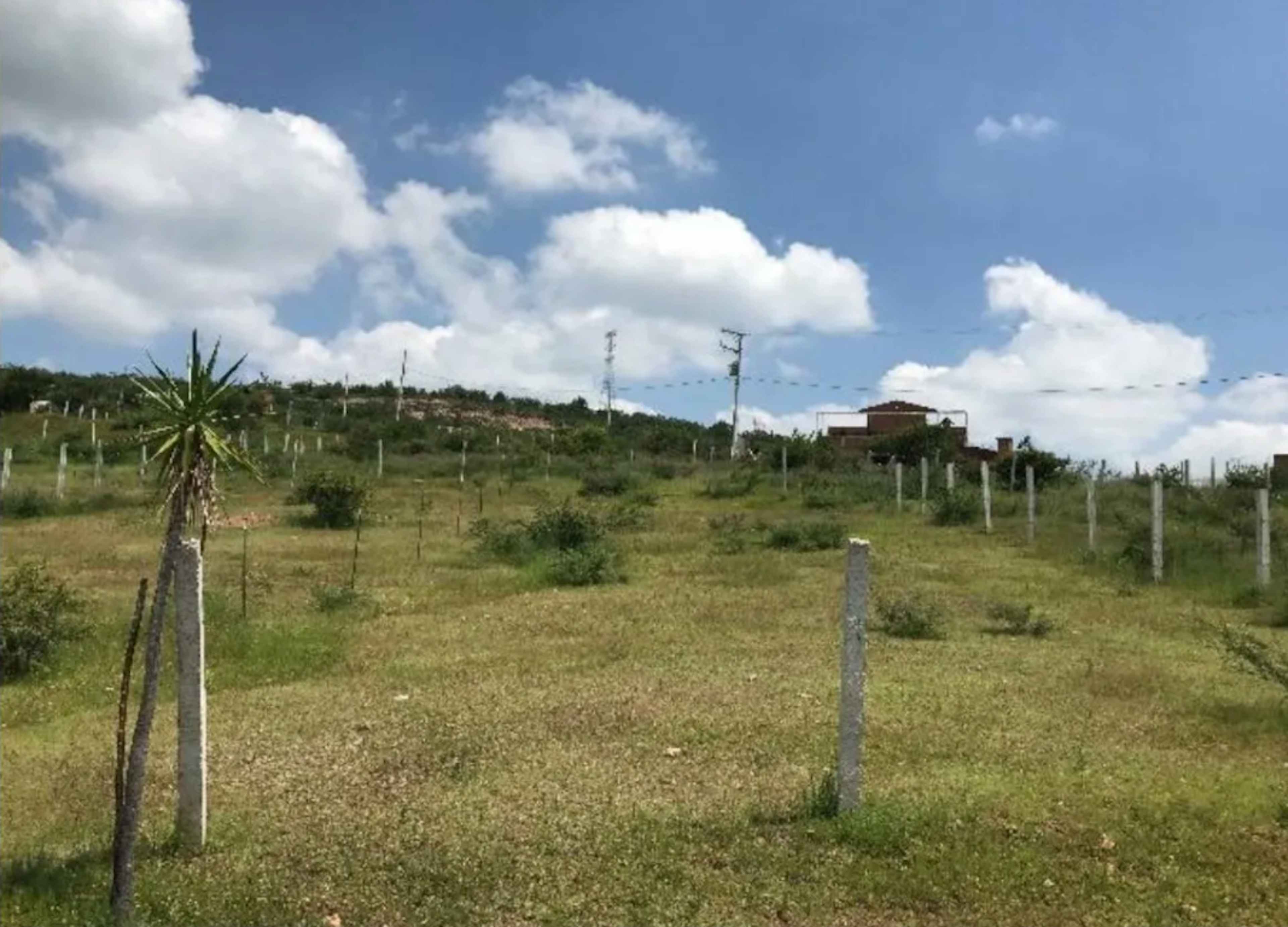 Venta De Terreno En La Tomatina