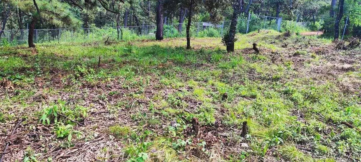 Terreno Spot2