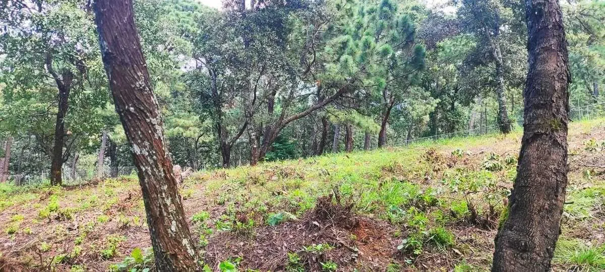 Terreno Spot2