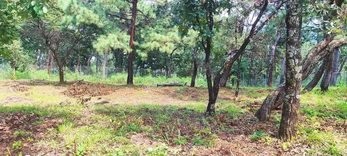 Terreno Spot2